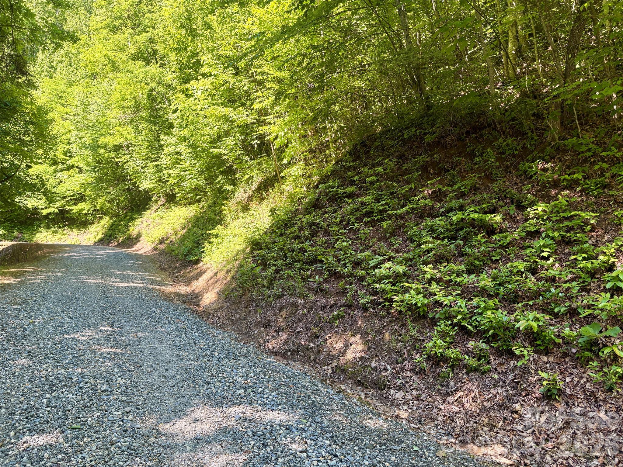 0 Middle Ridge 38 Property Photo 3