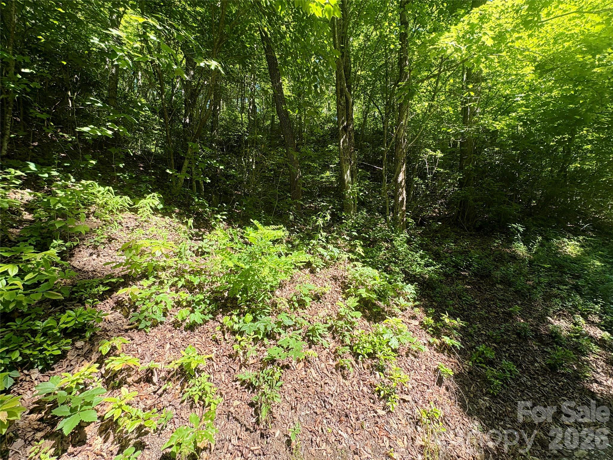 0 Middle Ridge 38 Property Photo 4