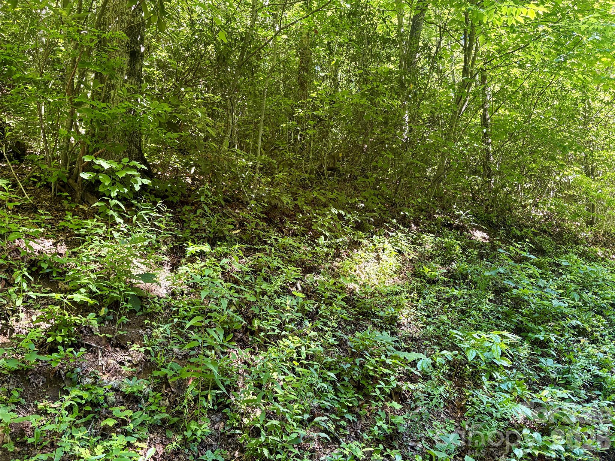 0 Middle Ridge 38 Property Photo 5