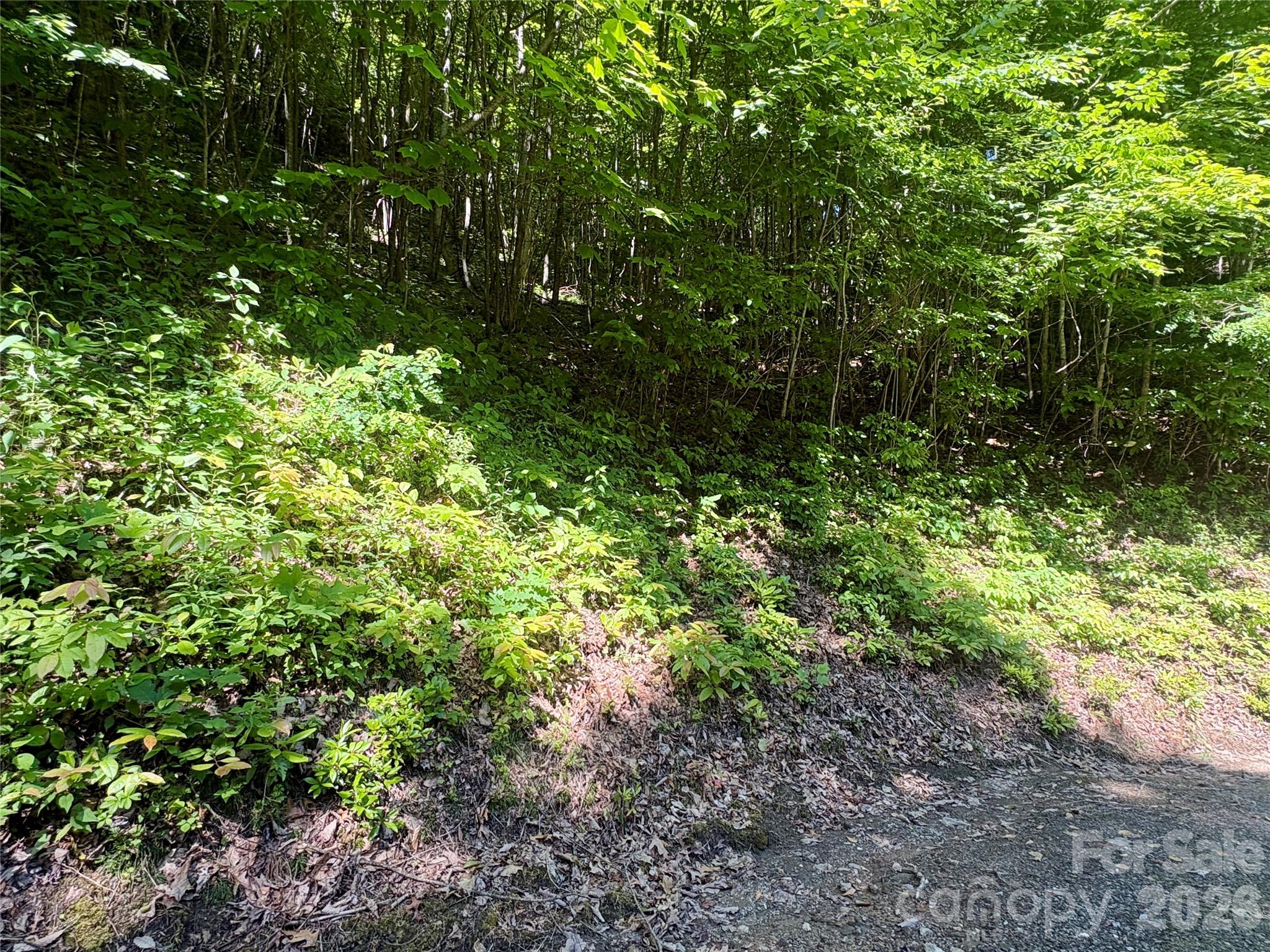 0 Middle Ridge 38 Property Photo 6