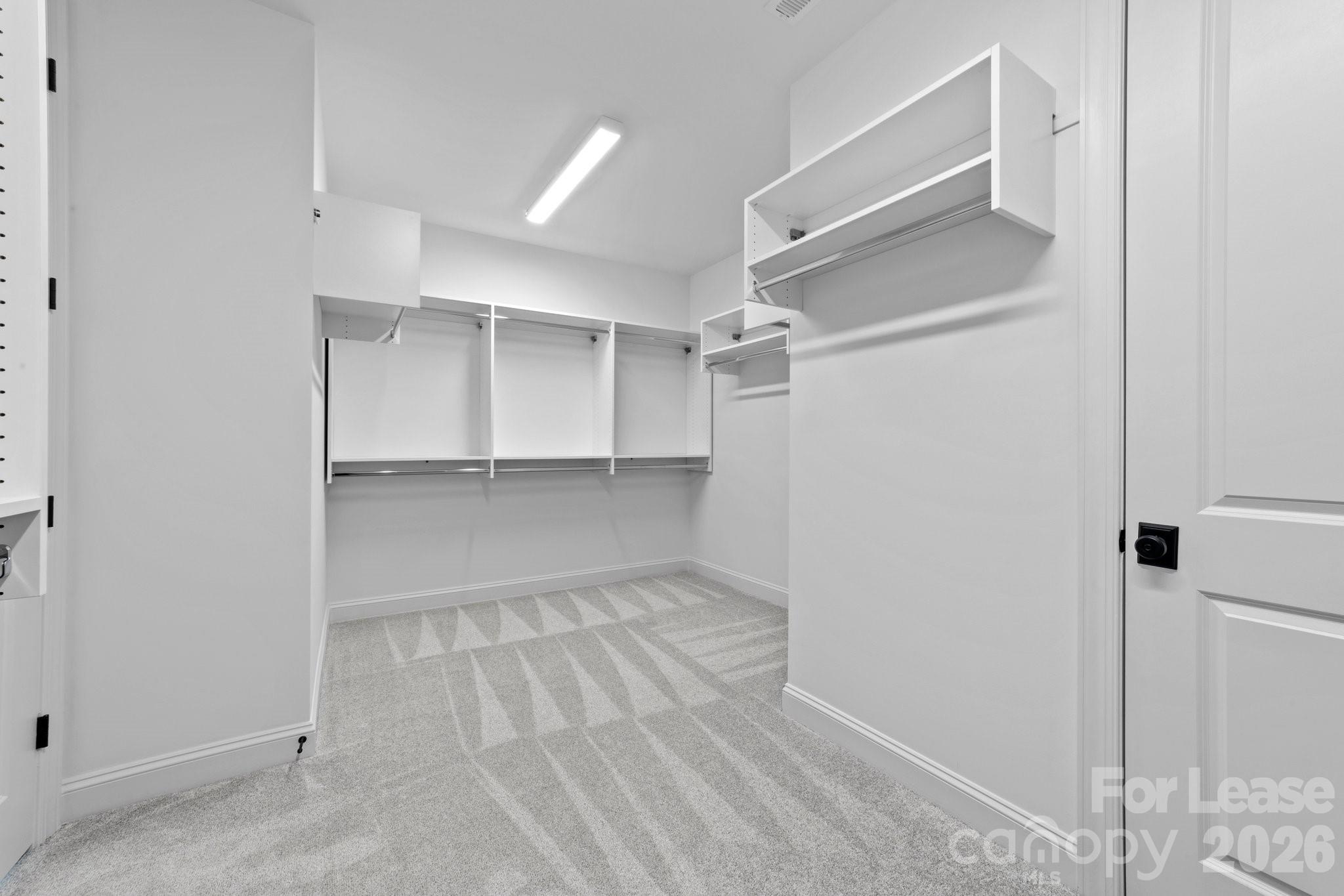 9541 Pacing Lane Property Photo 22