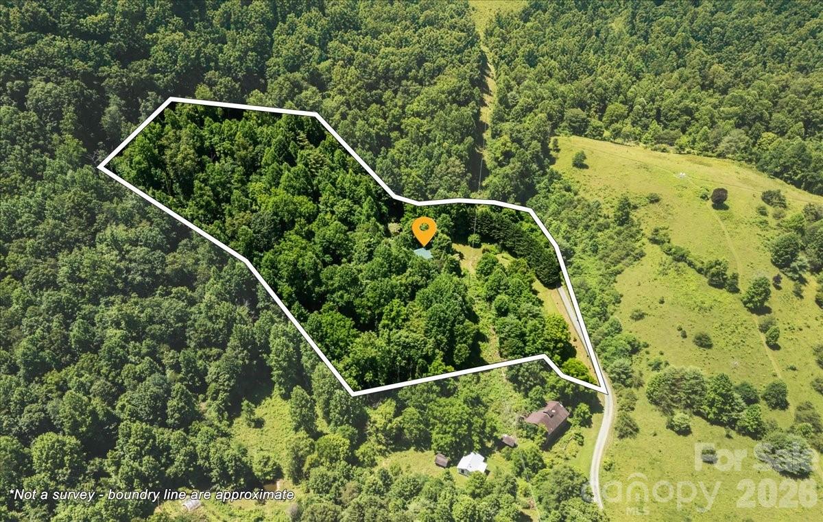 128 Barnet Mountain Drive Property Photo 4