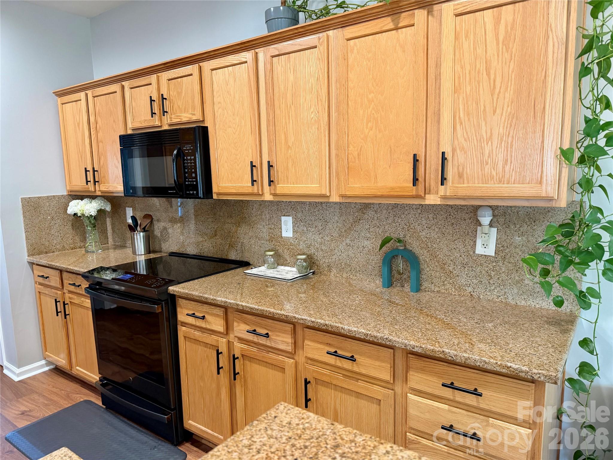 11719 Royal Castle Court Property Photo 11