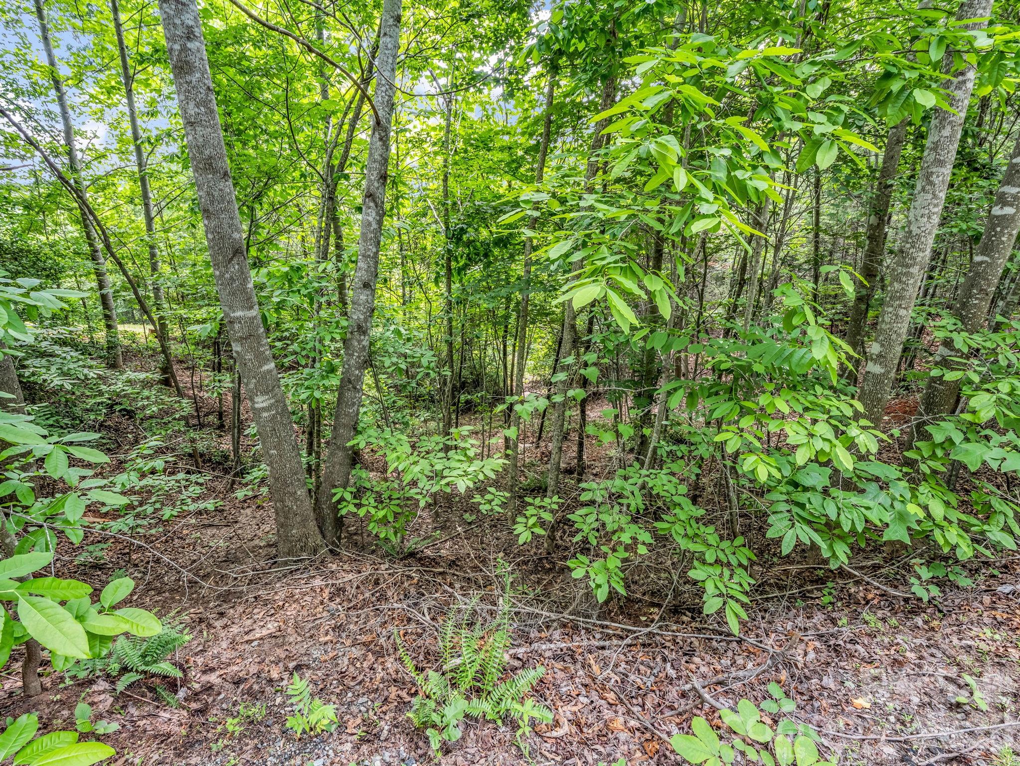 0 Sandpiper Avenue Property Photo 12