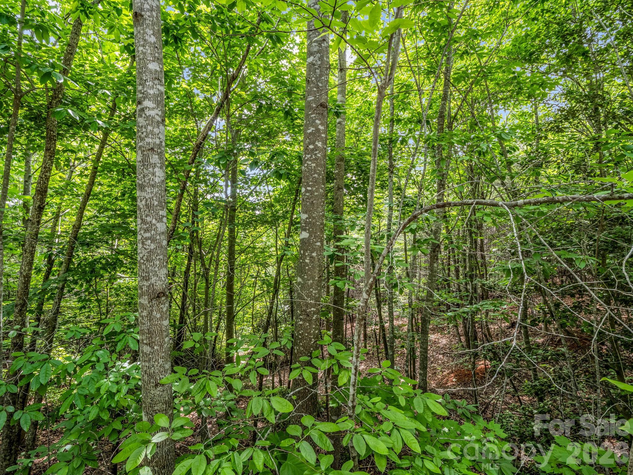 0 Sandpiper Avenue Property Photo 15