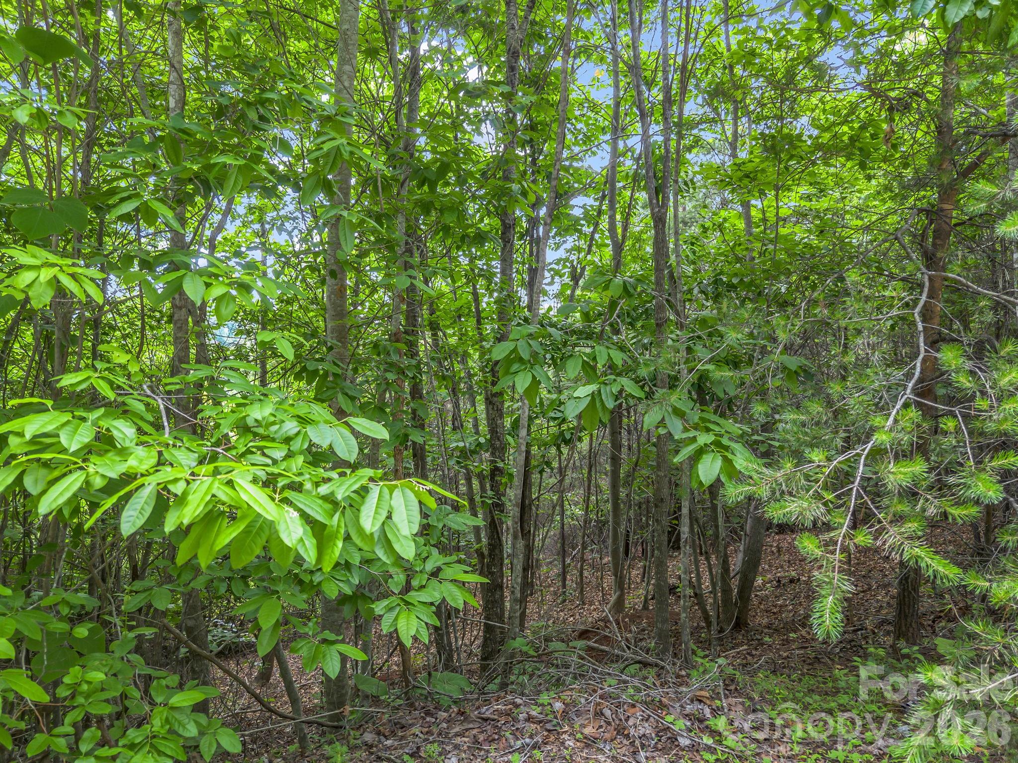 0 Sandpiper Avenue Property Photo 16