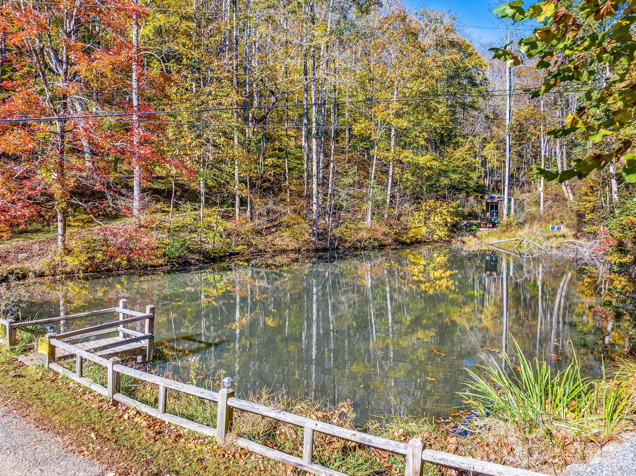 226 Fish Pond Lane Property Photo 33
