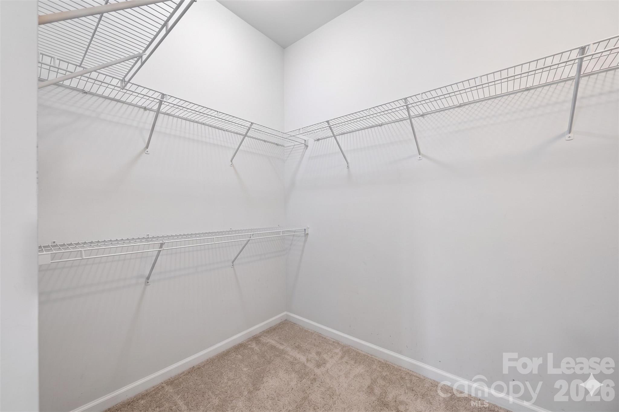 2316 Celandine Way Property Photo 20