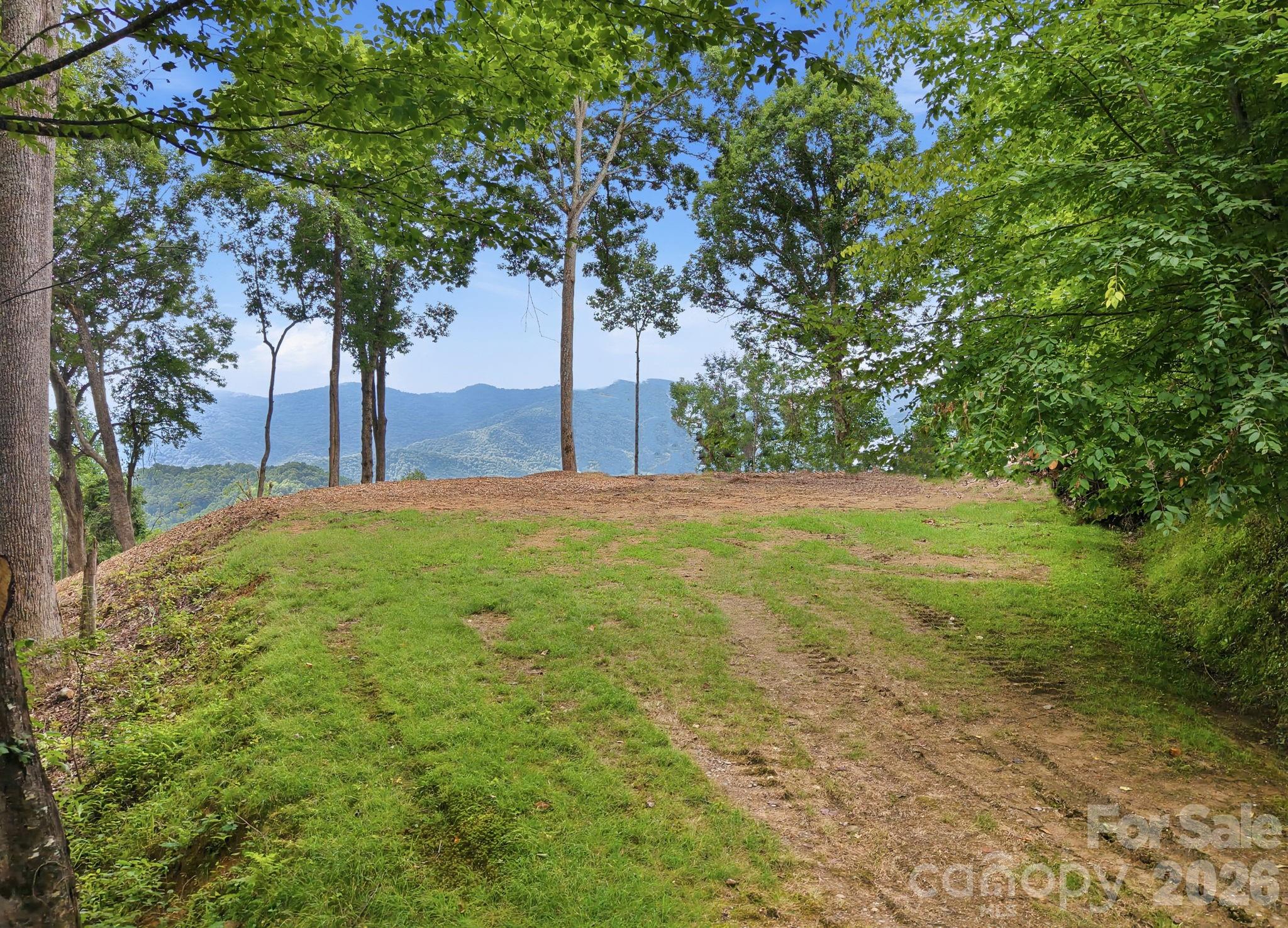 99999 Davidson Gap Road 79 Property Photo 1