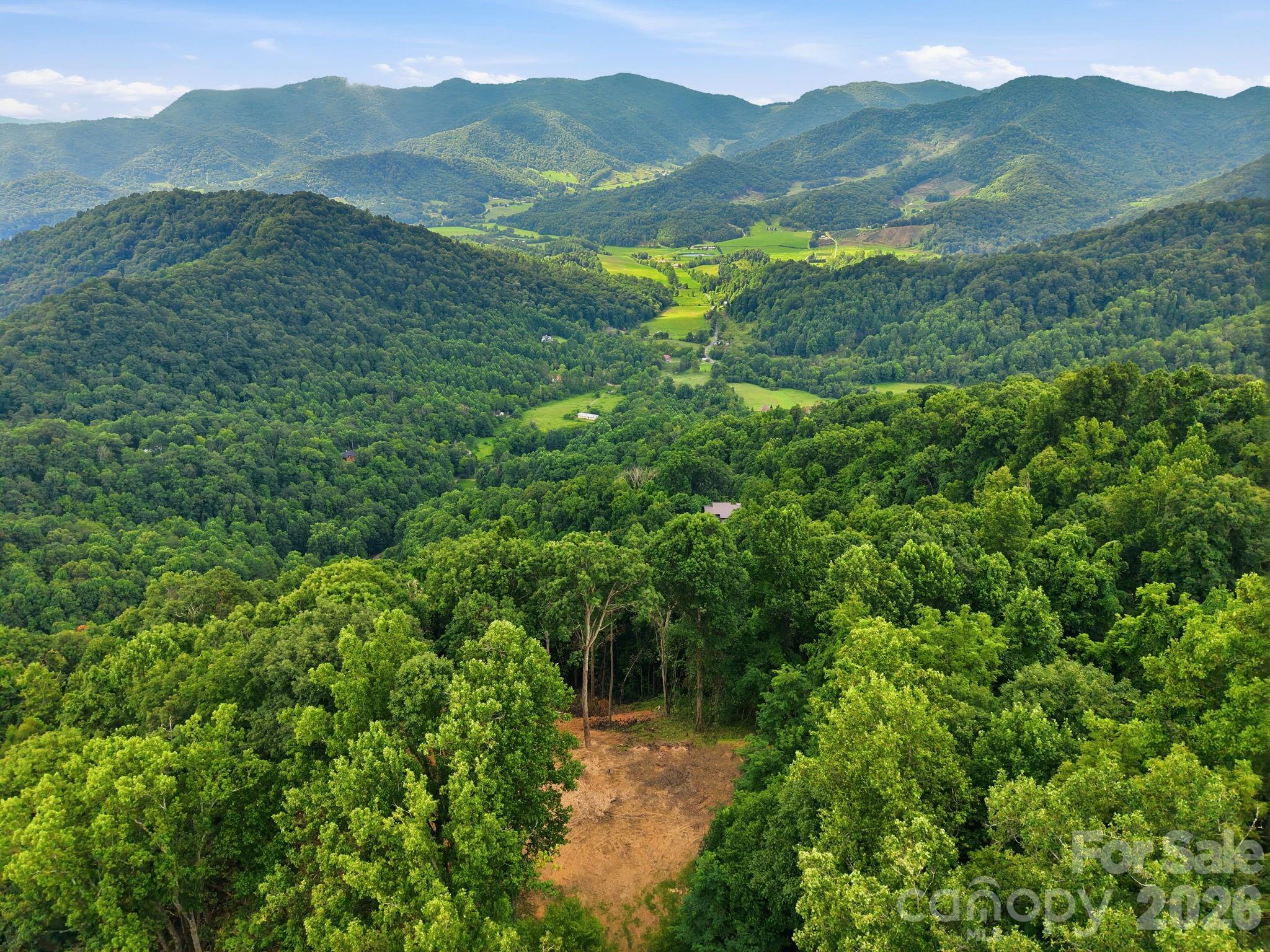 99999 Davidson Gap Road 79 Property Photo 2