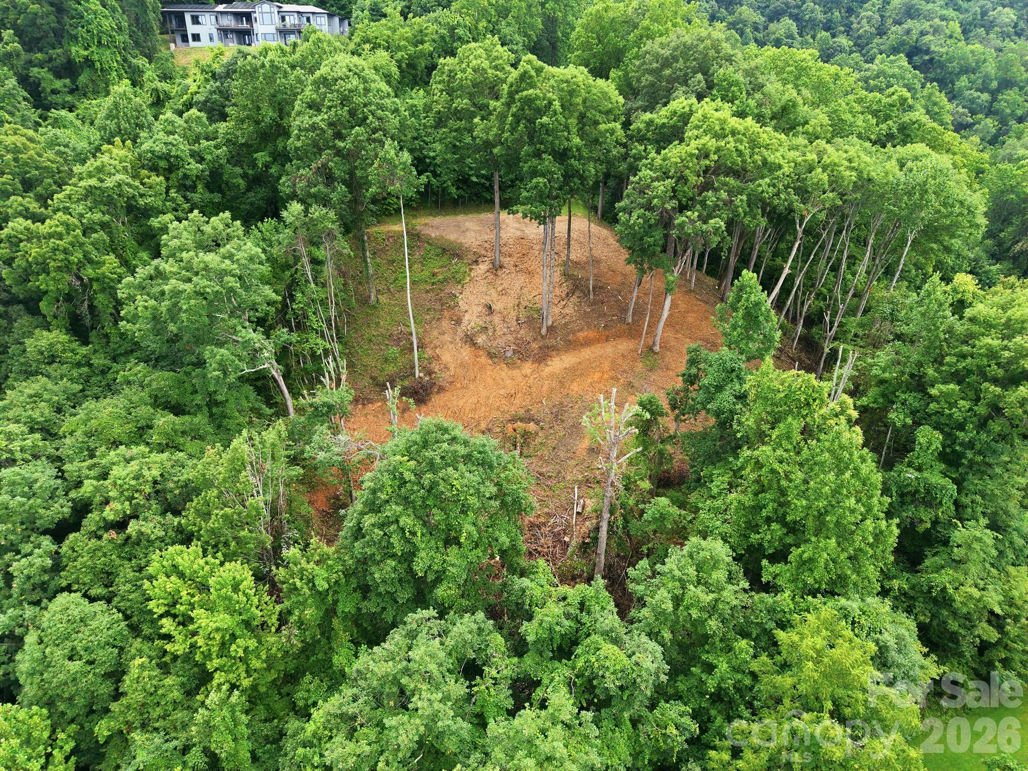 99999 Davidson Gap Road 79 Property Photo 3