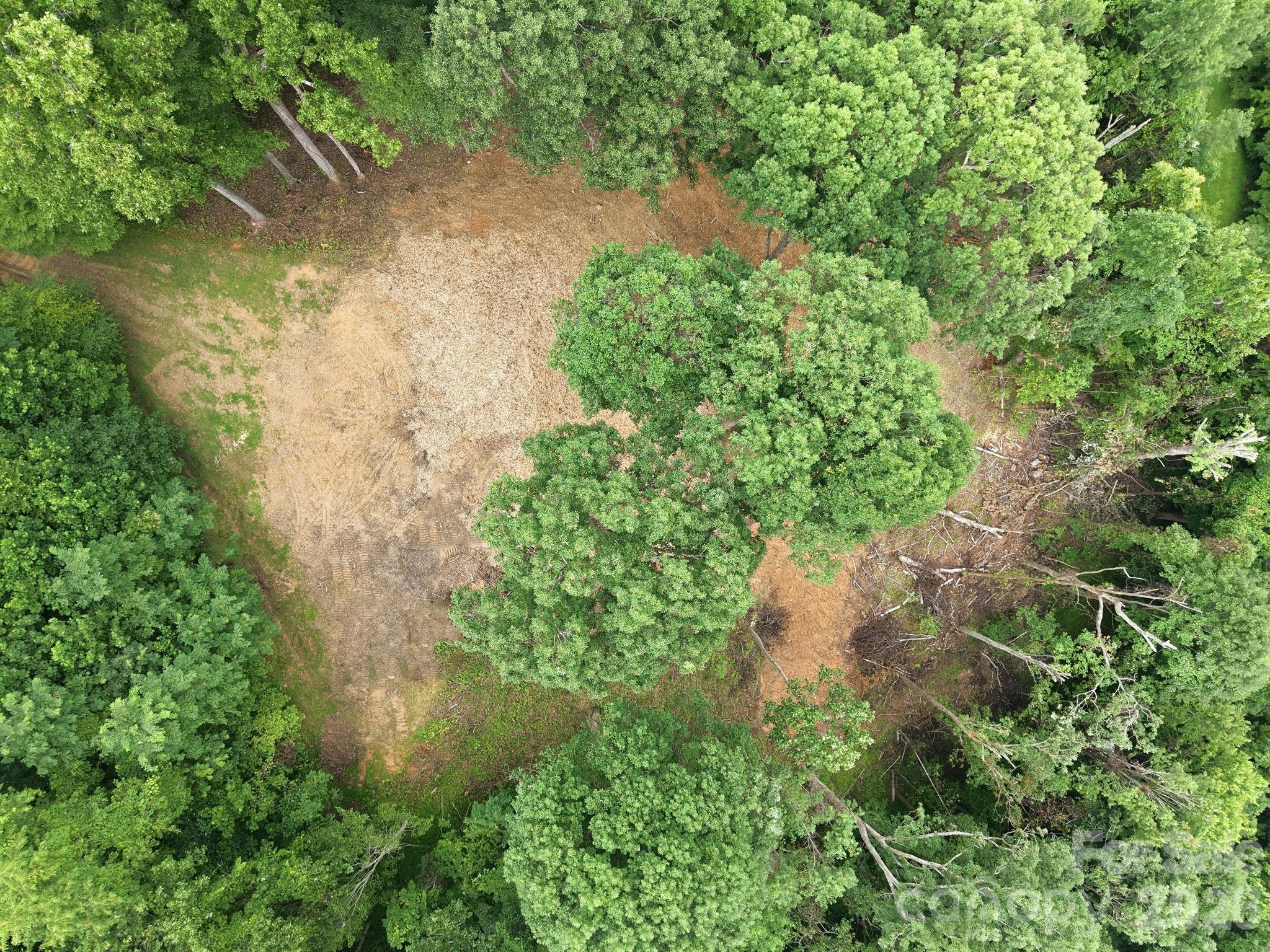 99999 Davidson Gap Road 79 Property Photo 4