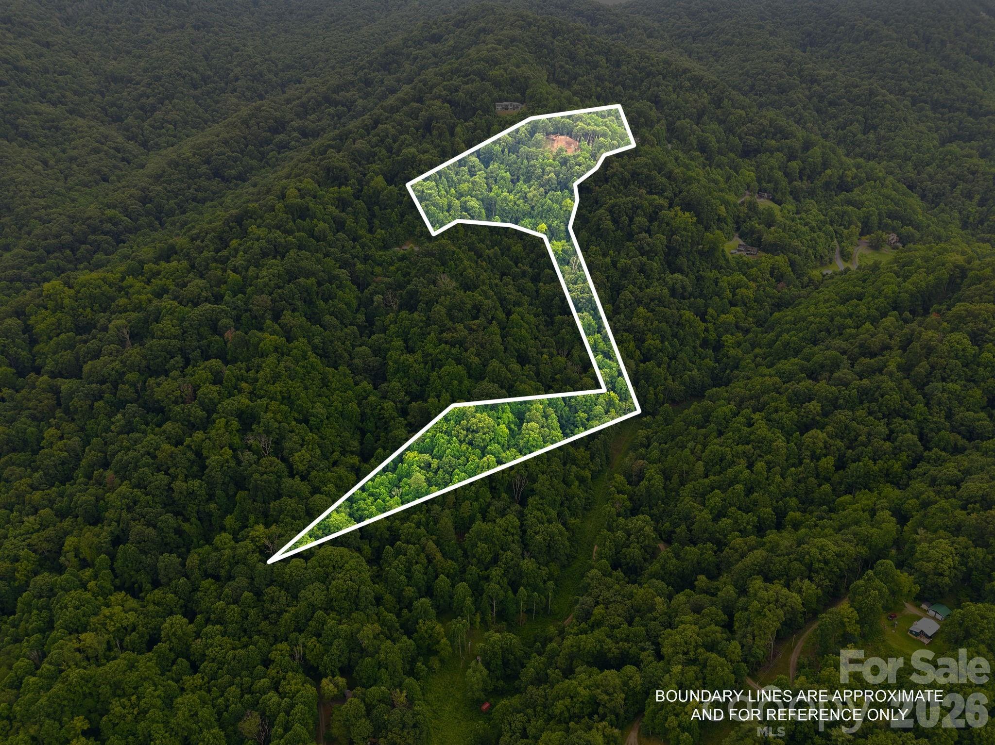 99999 Davidson Gap Road 79 Property Photo 5