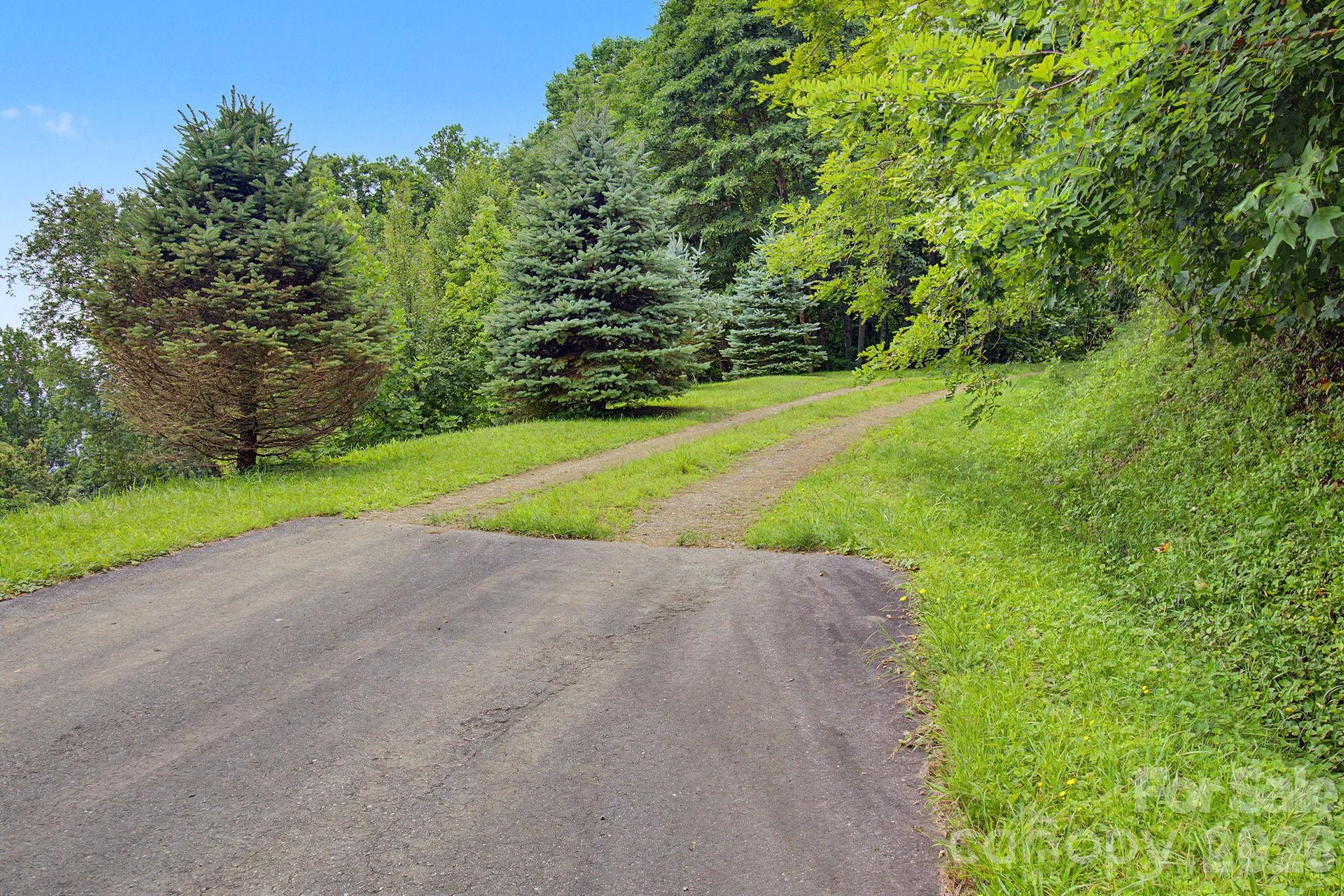 99999 Davidson Gap Road 79 Property Photo 7