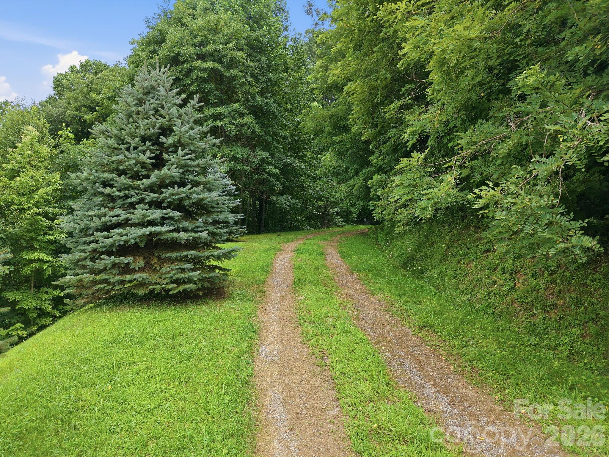 99999 Davidson Gap Road 79 Property Photo 8