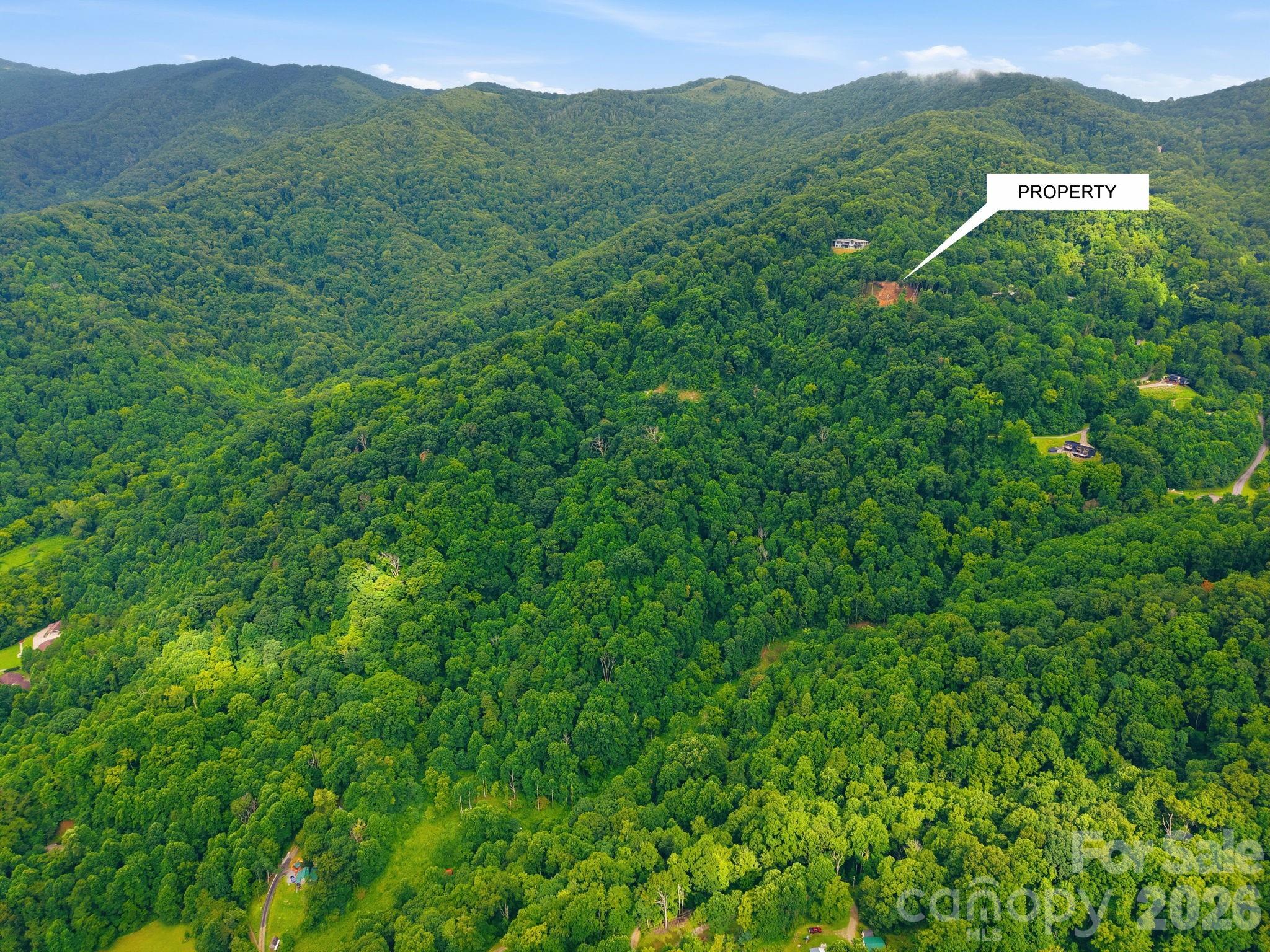 99999 Davidson Gap Road 79 Property Photo 8