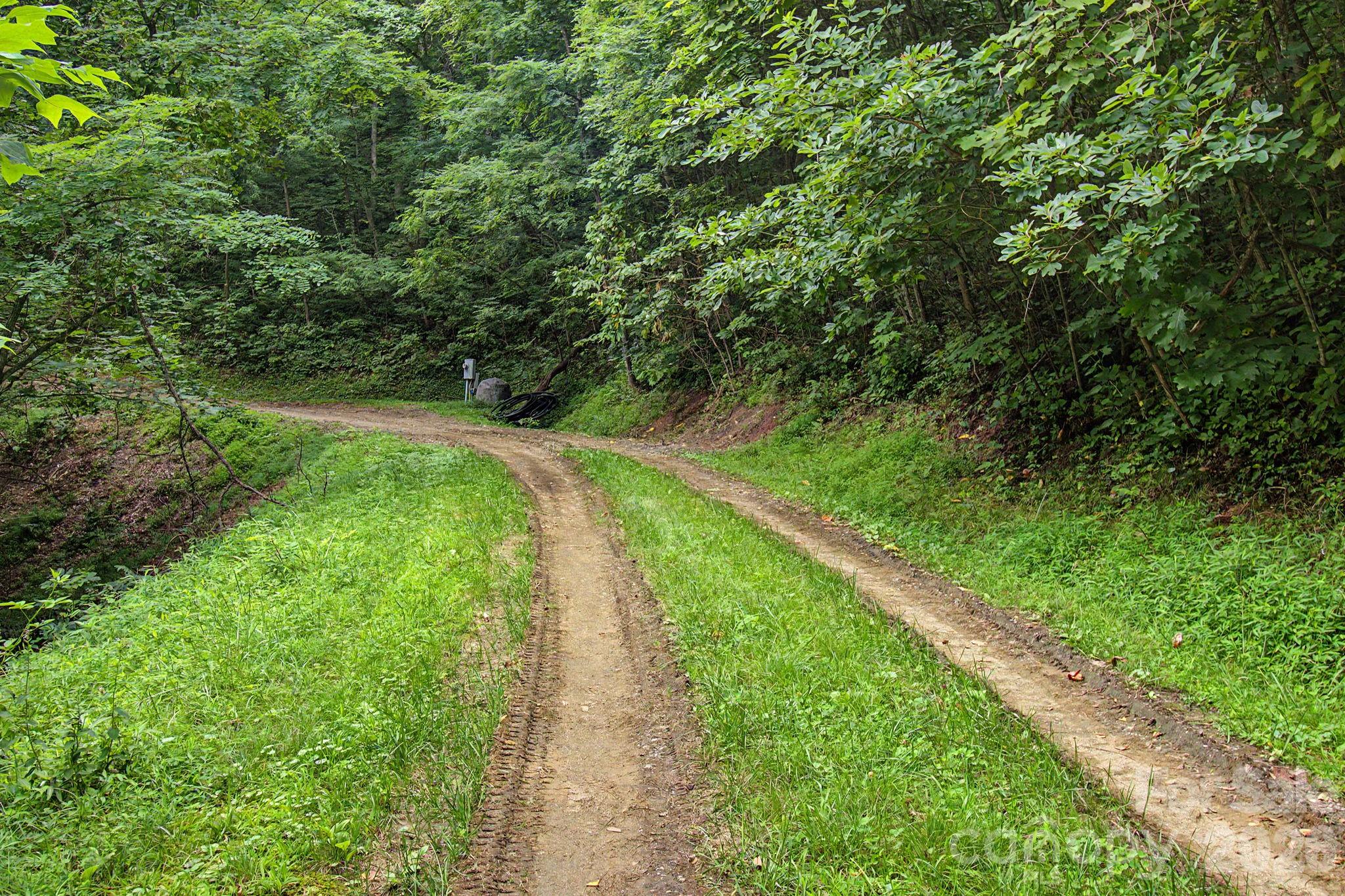 99999 Davidson Gap Road 79 Property Photo 9