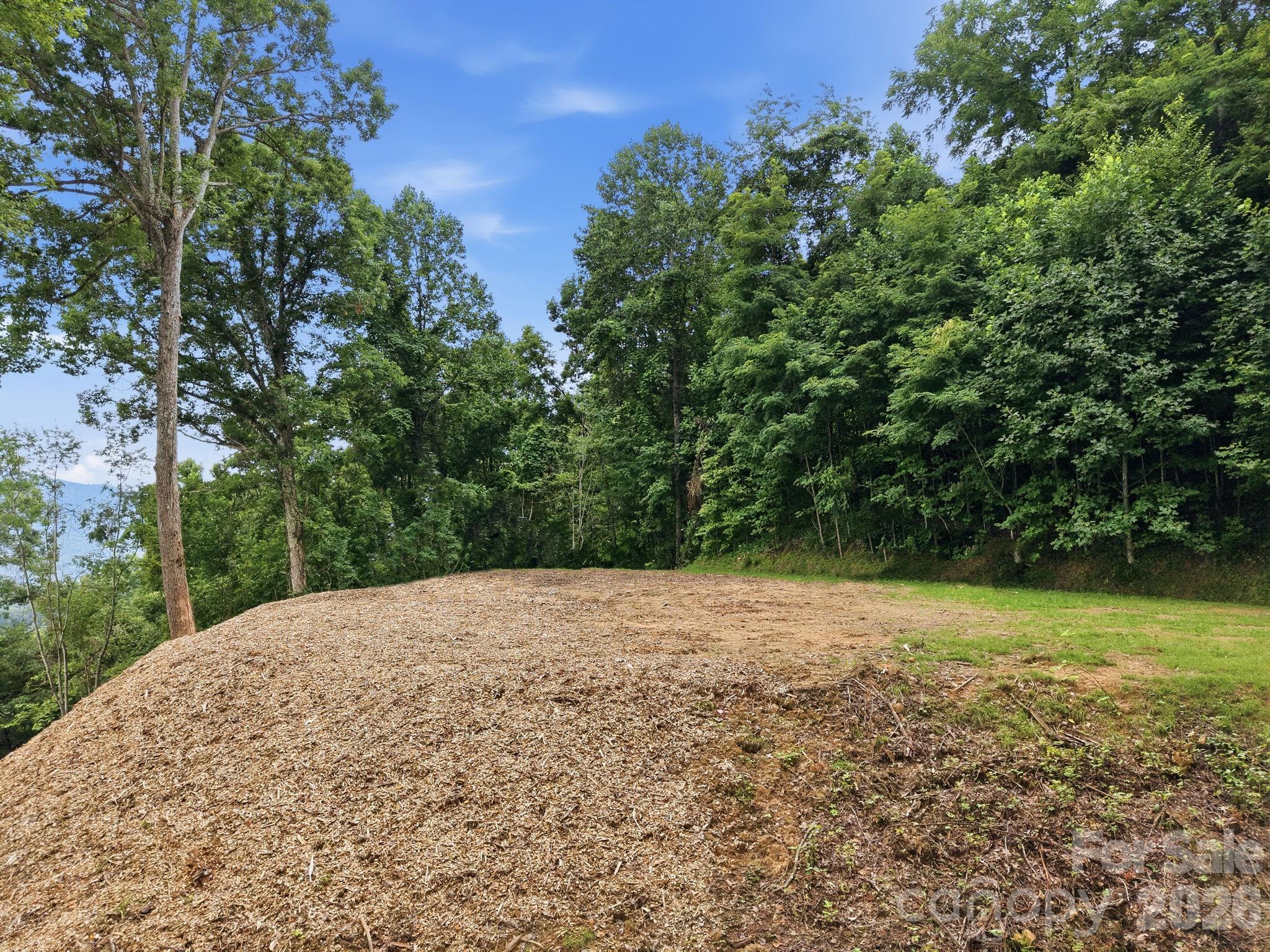 99999 Davidson Gap Road 79 Property Photo 10