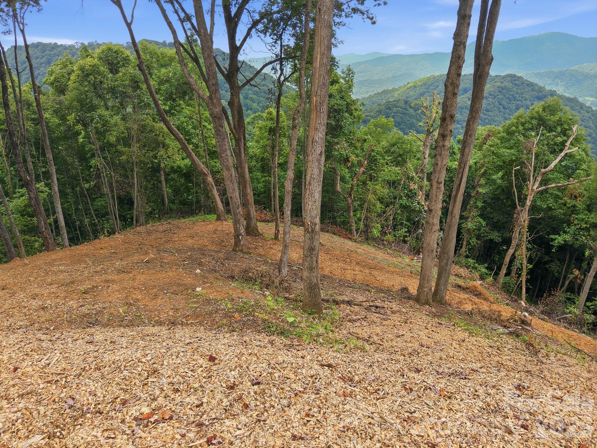 99999 Davidson Gap Road 79 Property Photo 11