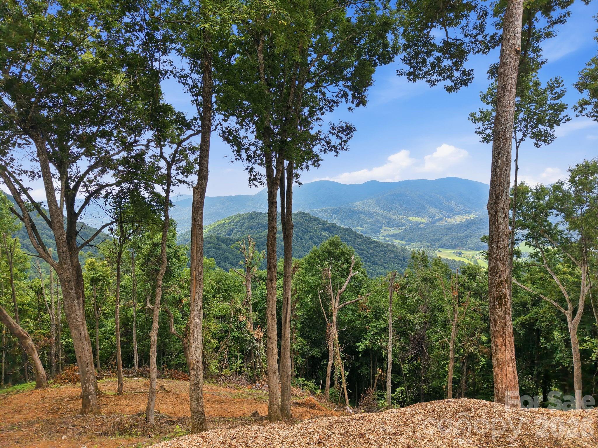 99999 Davidson Gap Road 79 Property Photo 12