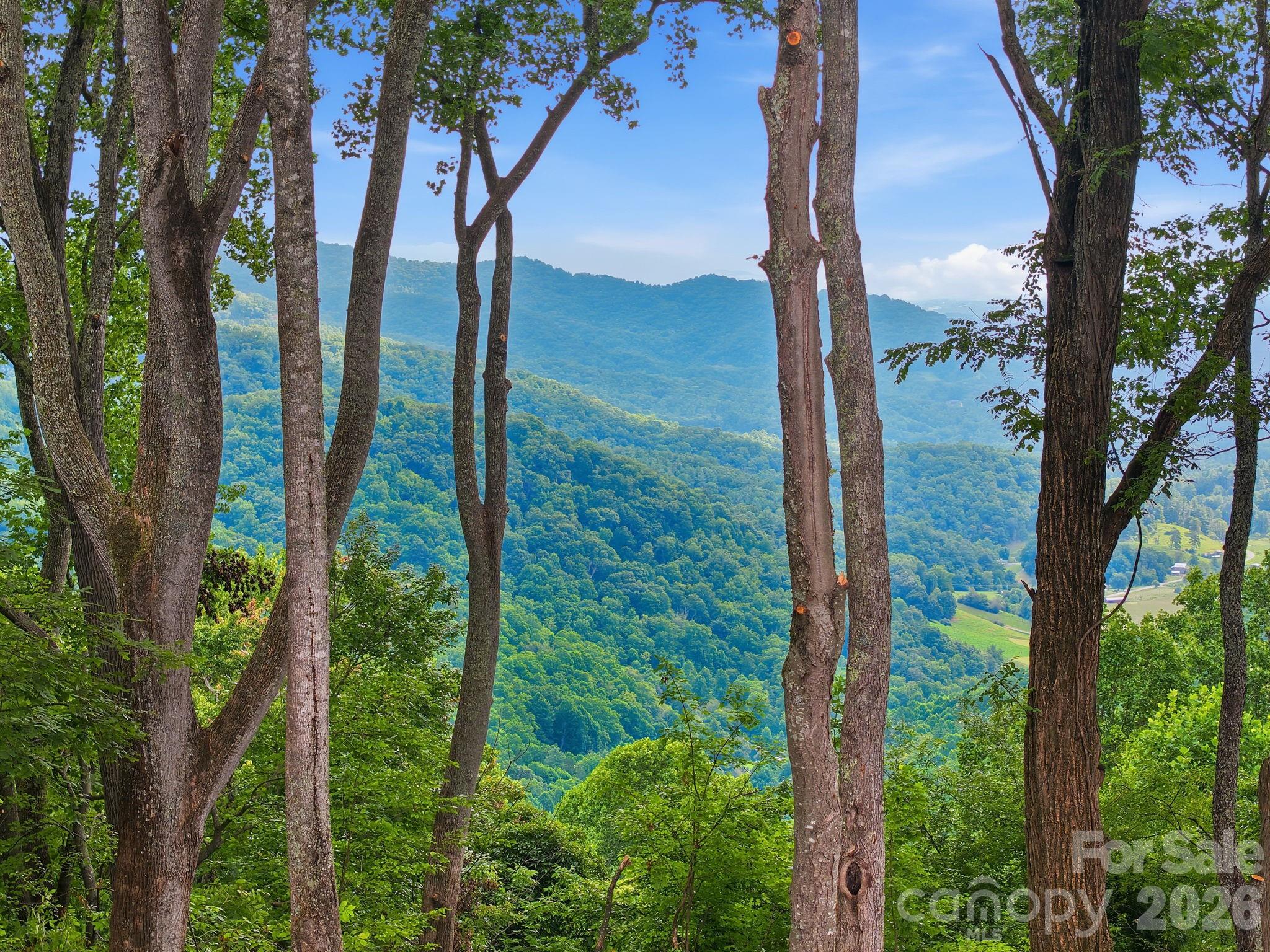 99999 Davidson Gap Road 79 Property Photo 13