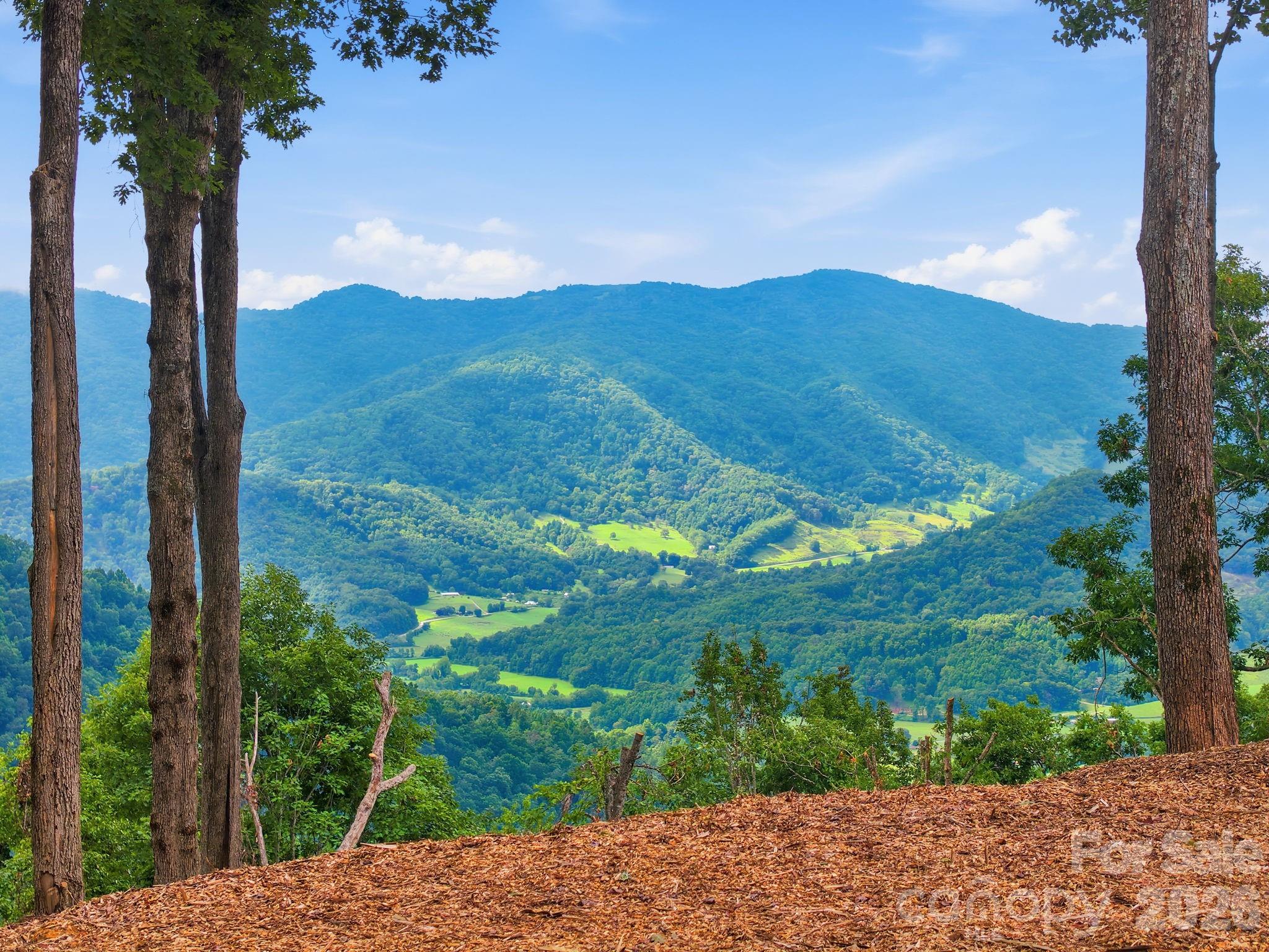 99999 Davidson Gap Road 79 Property Photo 14