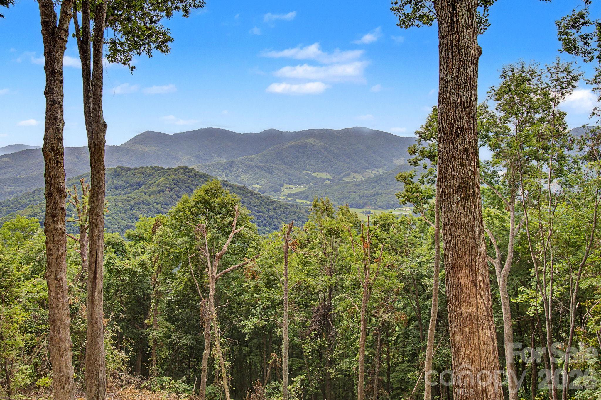 99999 Davidson Gap Road 79 Property Photo 15