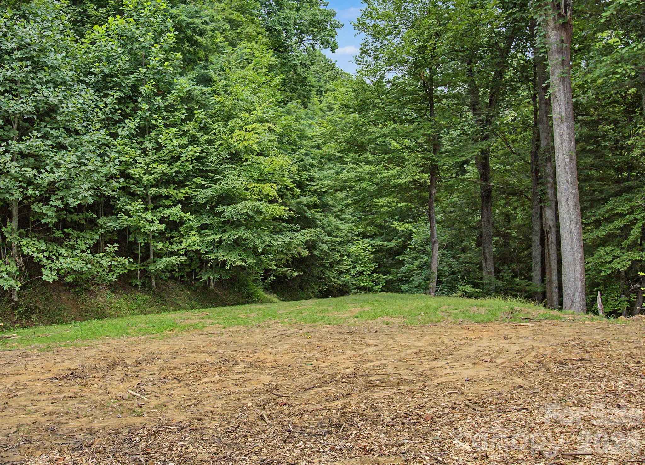 99999 Davidson Gap Road 79 Property Photo 17