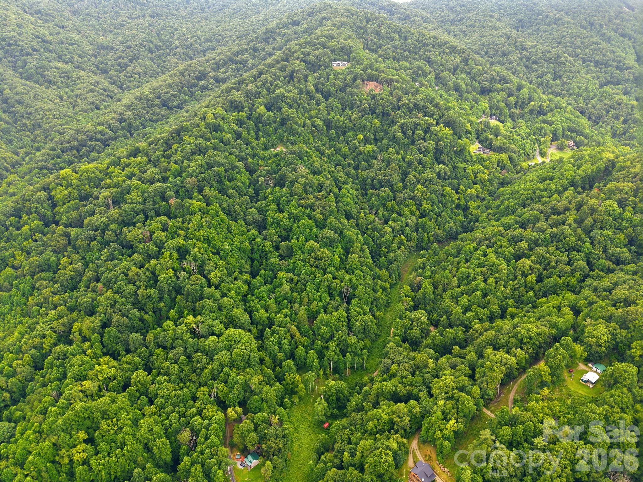 99999 Davidson Gap Road 79 Property Photo 20