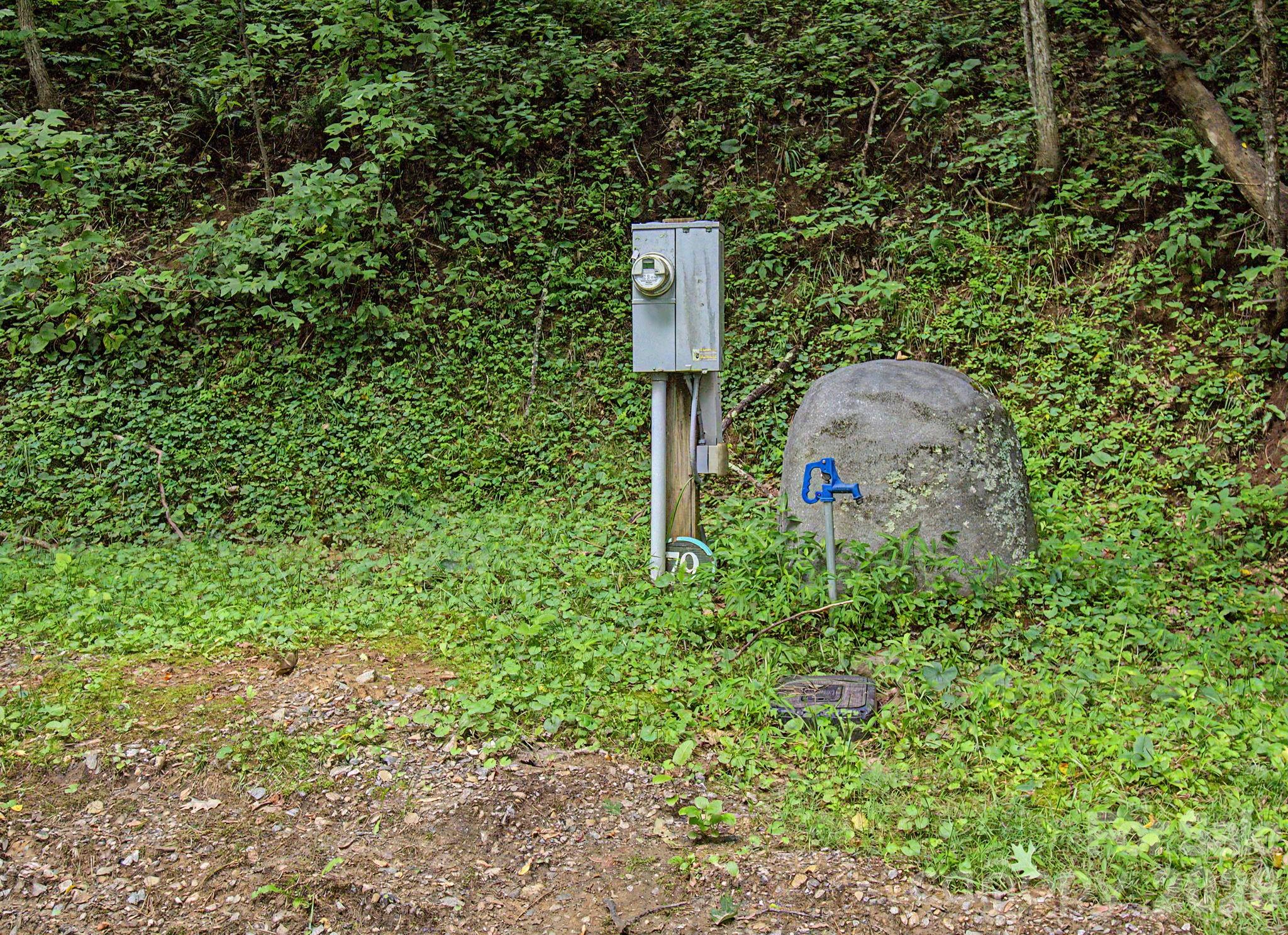 99999 Davidson Gap Road 79 Property Photo 21