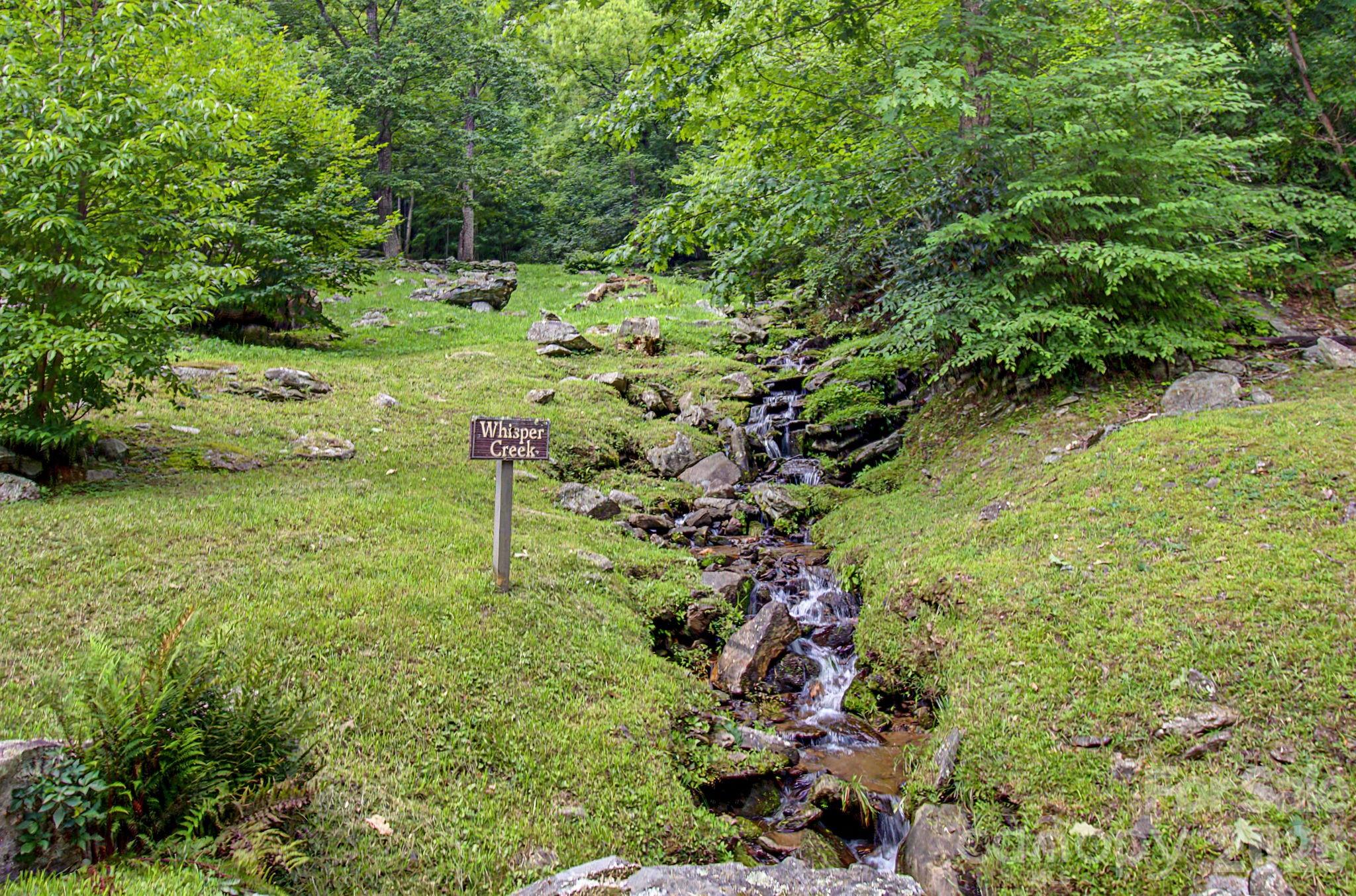 99999 Davidson Gap Road 79 Property Photo 38