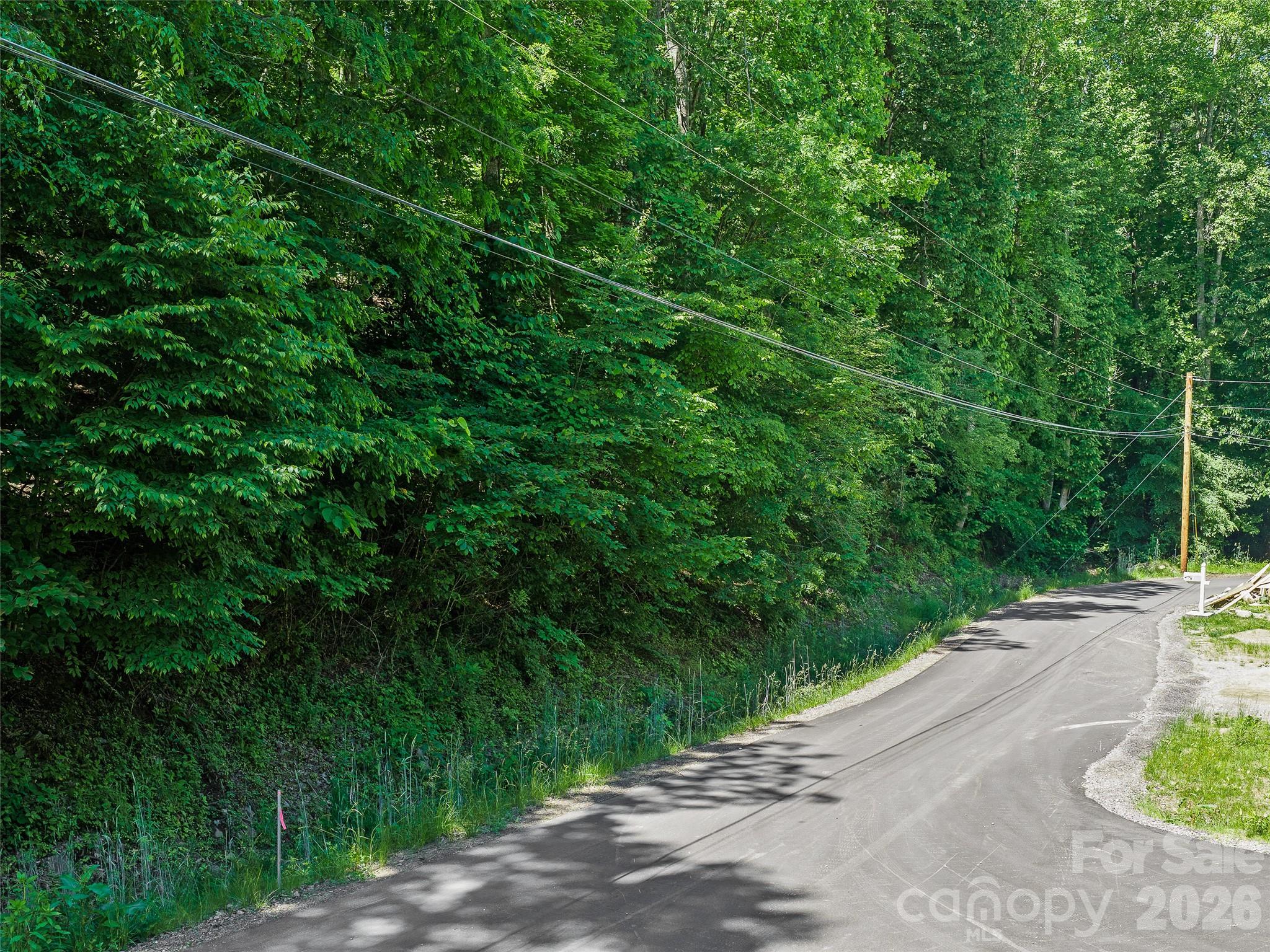 0 Moody Mountain Road Property Photo 2