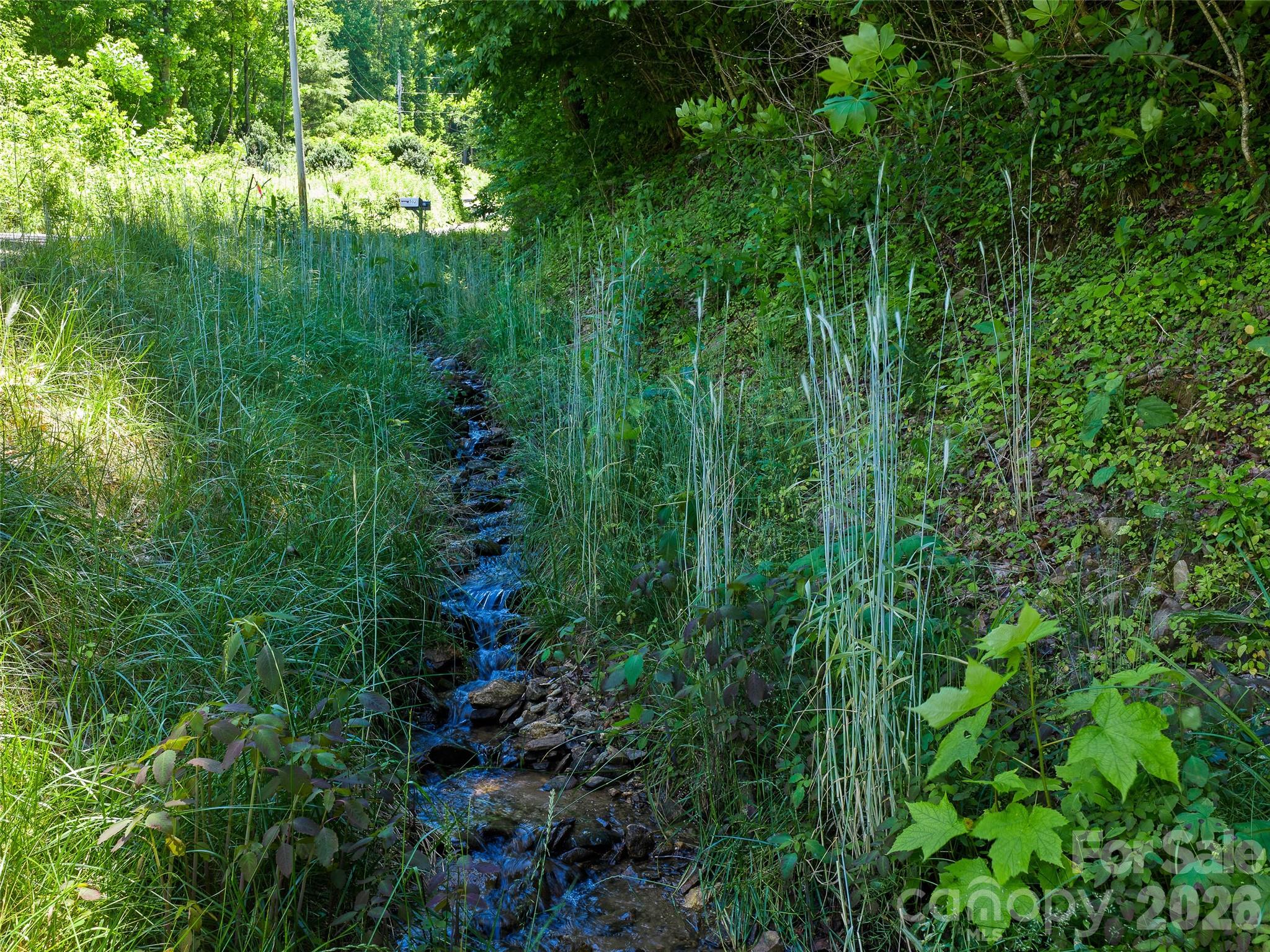 0 Moody Mountain Road Property Photo 3