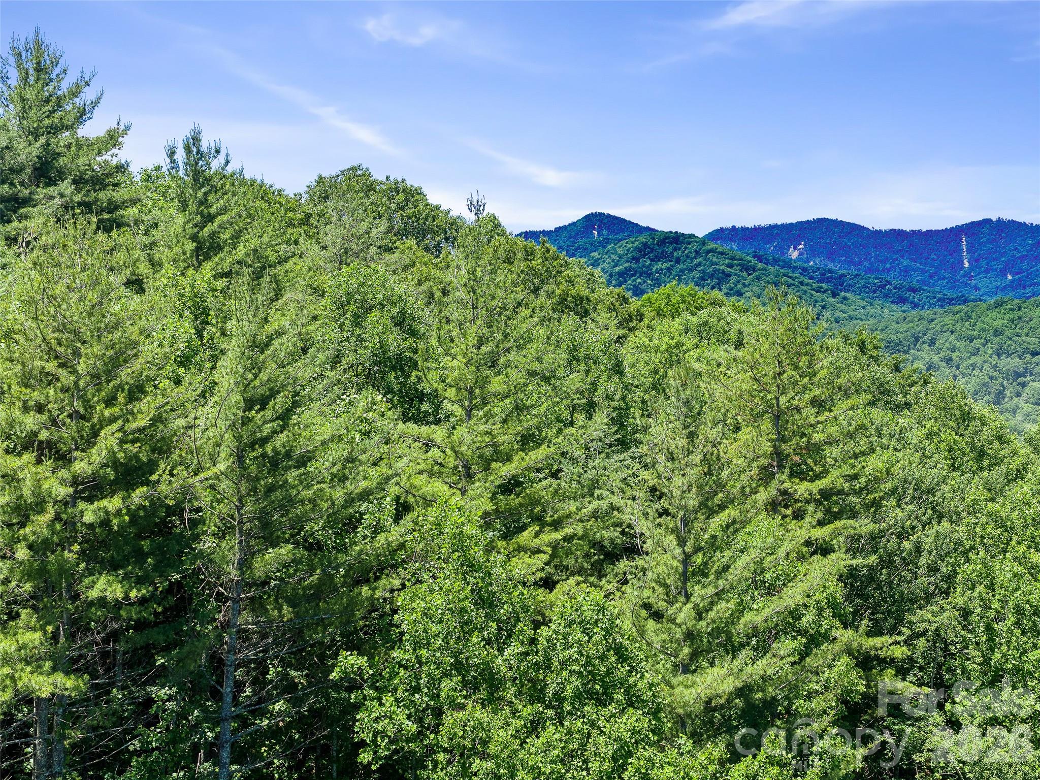 0 Moody Mountain Road Property Photo 5