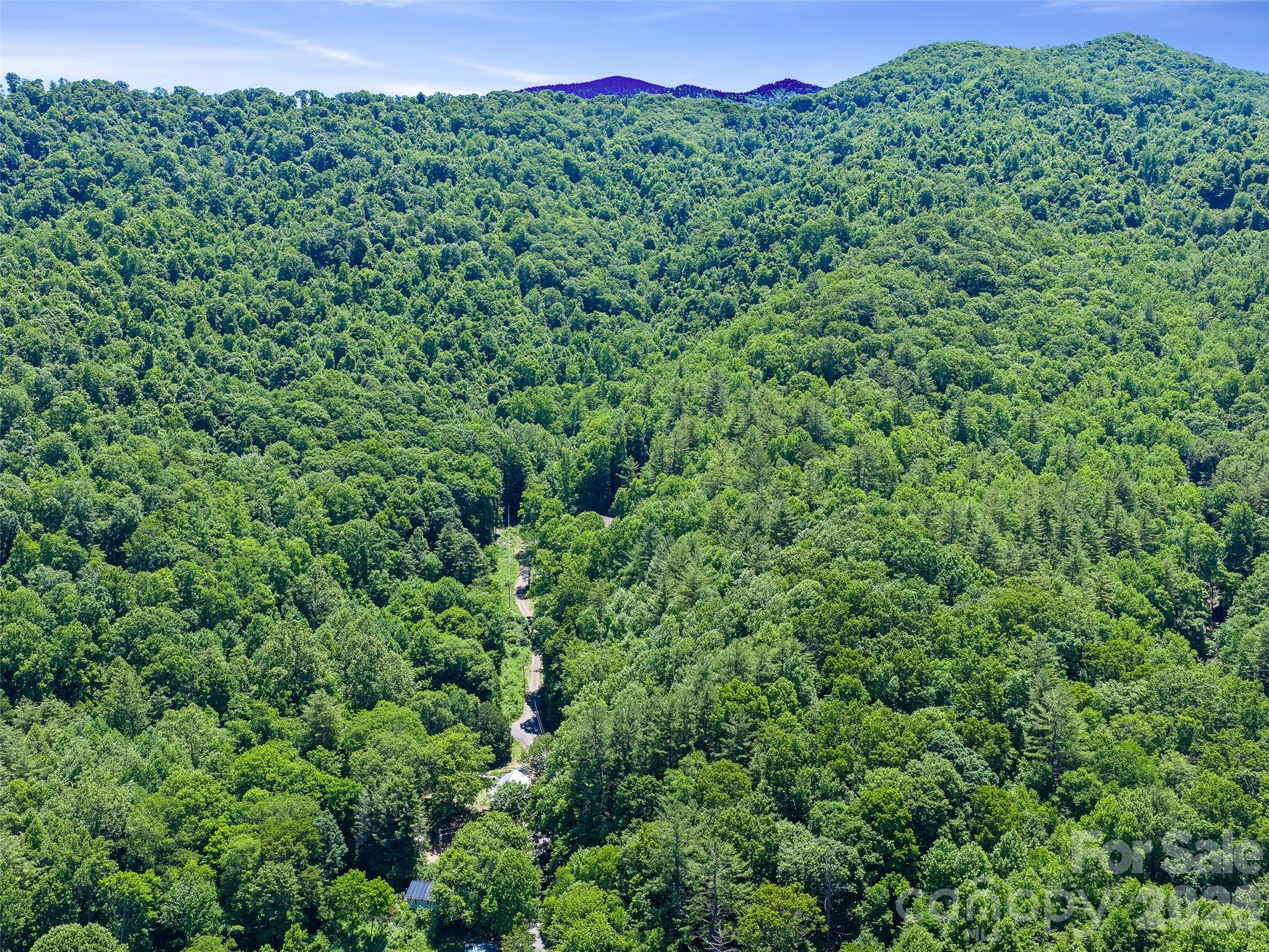 0 Moody Mountain Road Property Photo 11