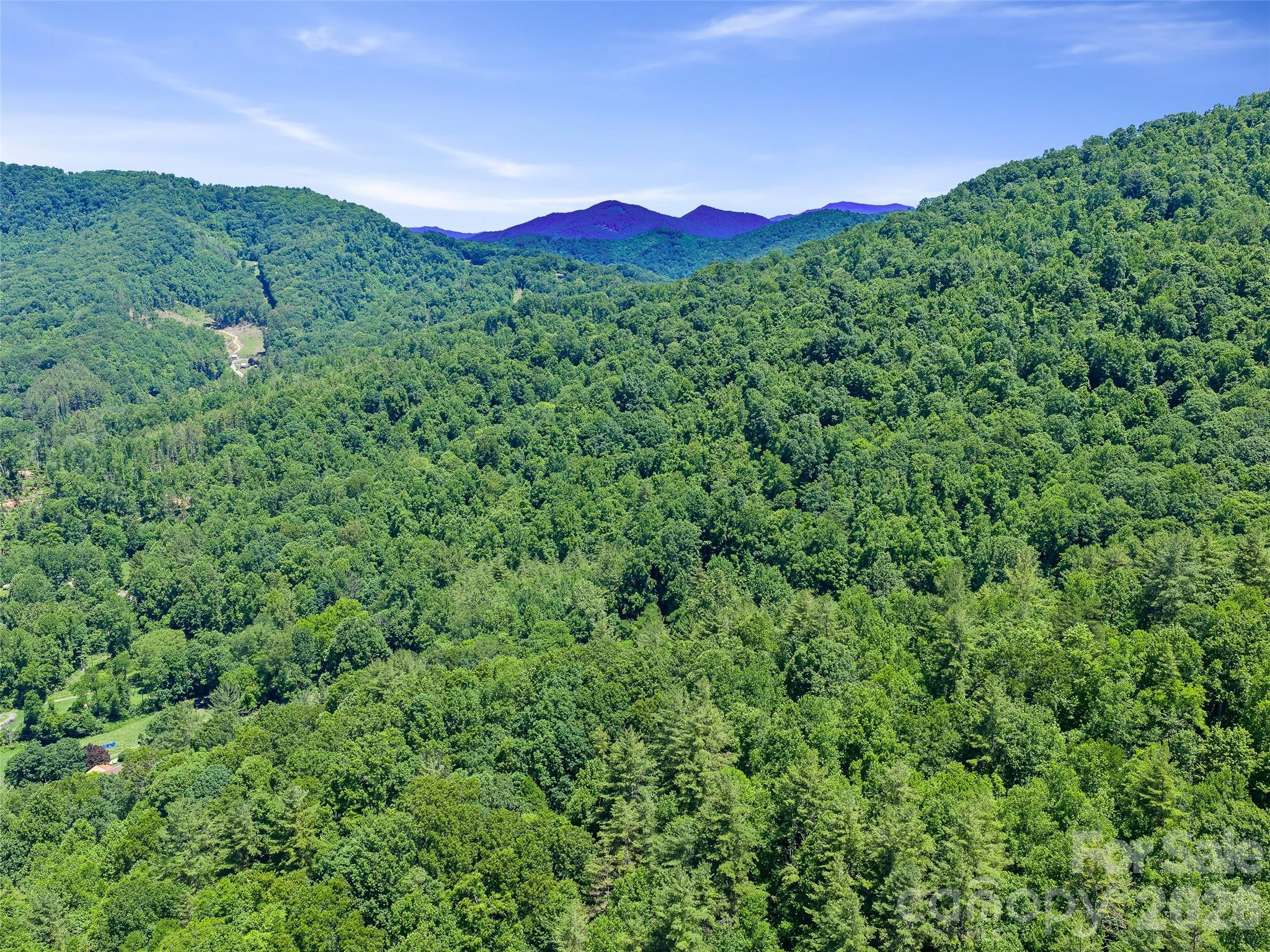 0 Moody Mountain Road Property Photo 12