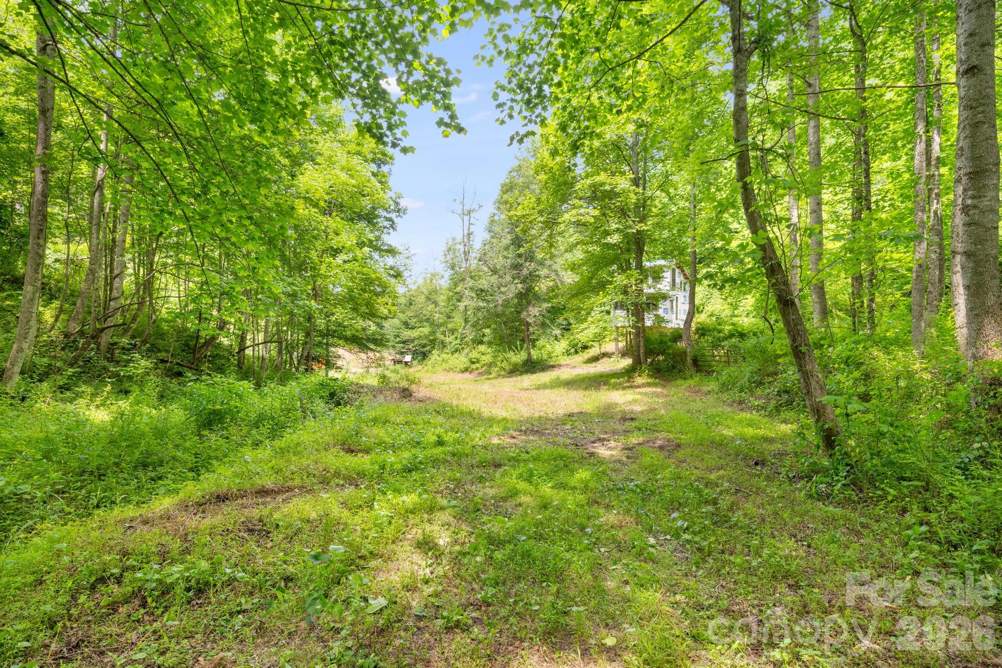 224 Allen Drive Property Photo 9