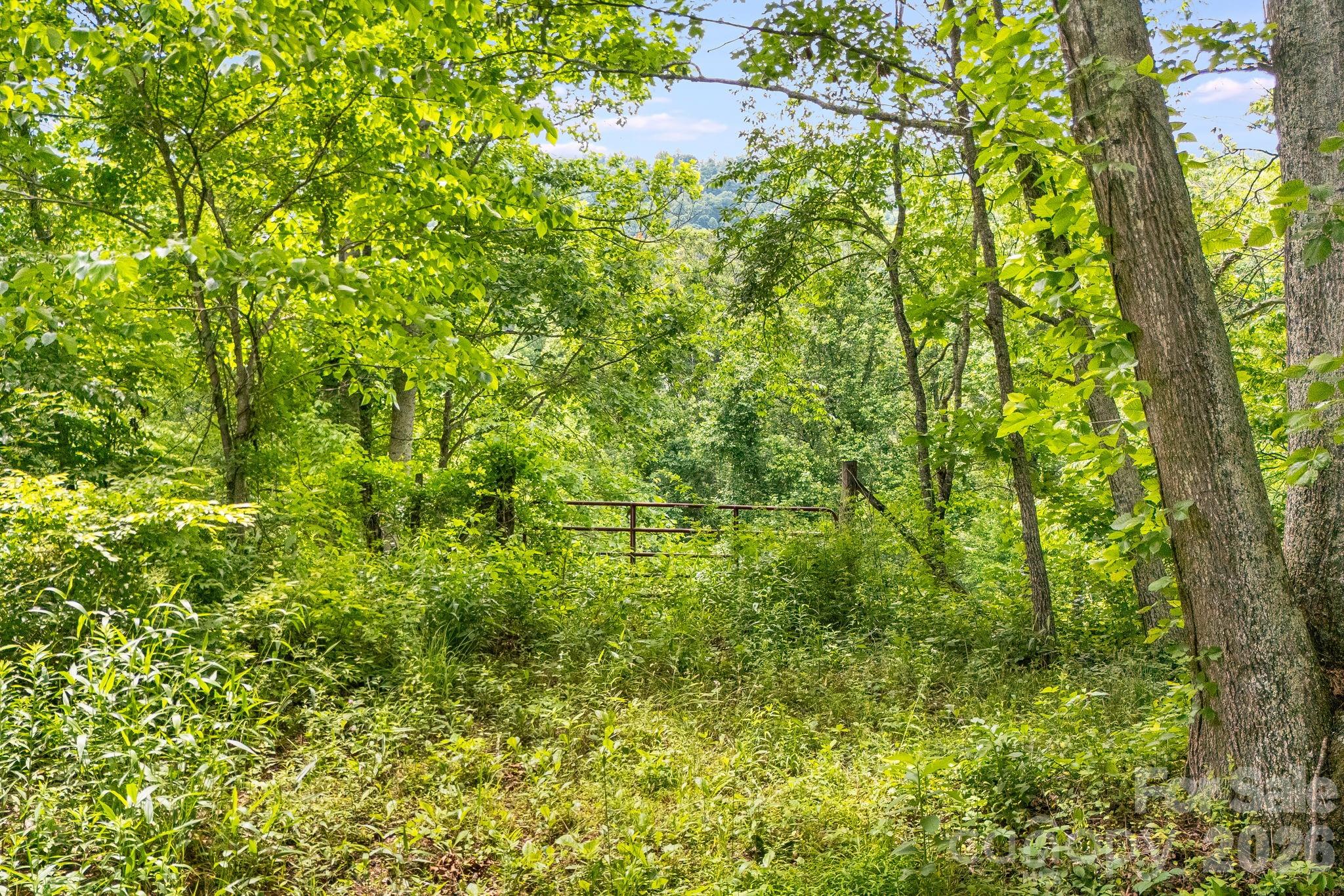 224 Allen Drive Property Photo 27