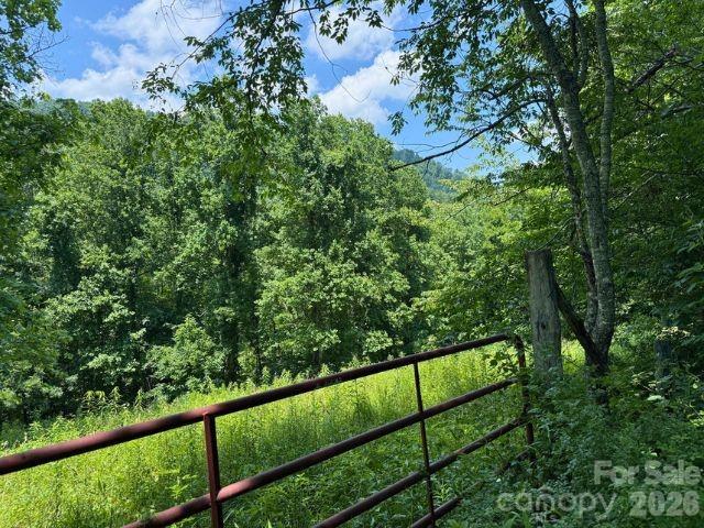 224 Allen Drive Property Photo 37