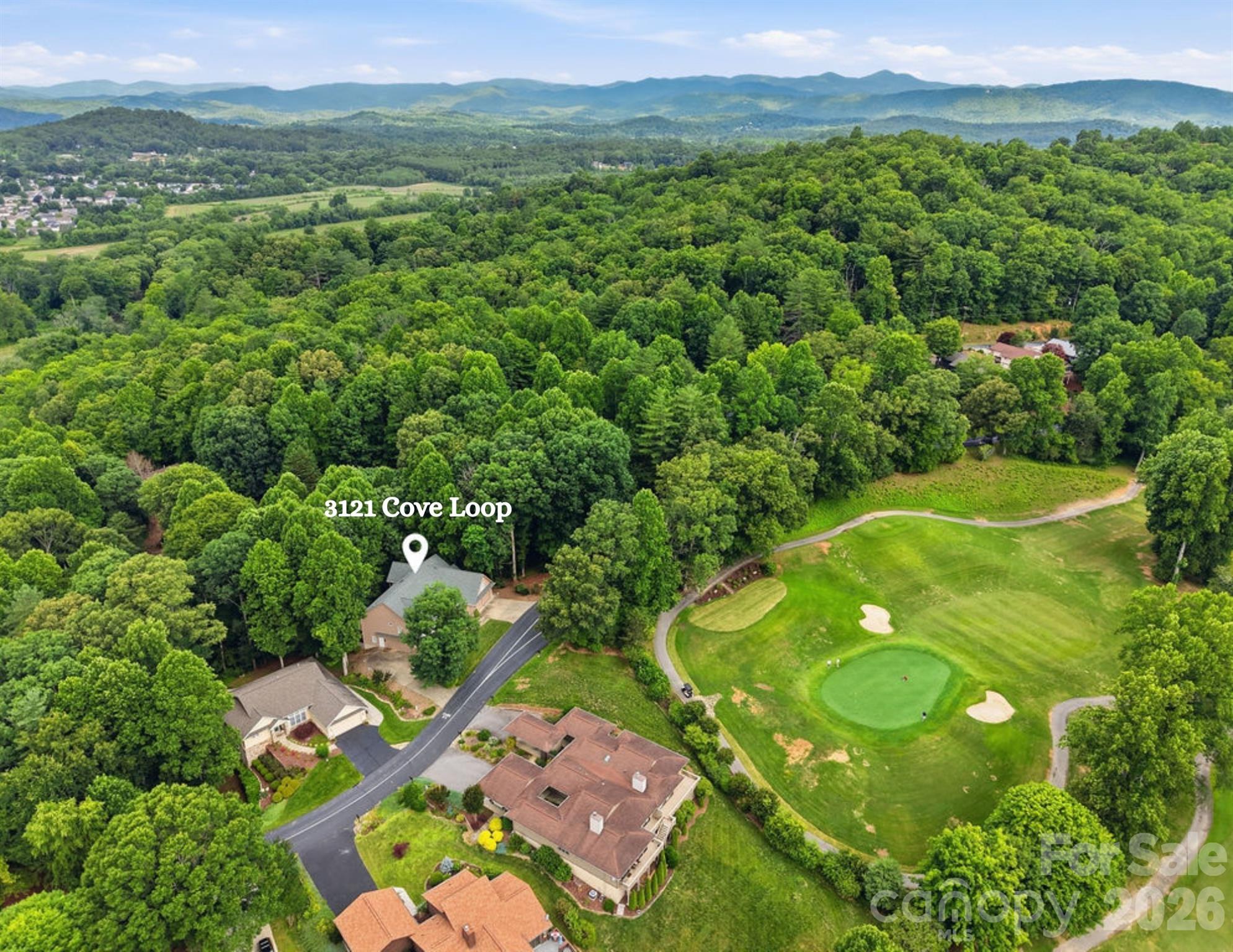 3121 Cove Loop Road Property Photo 1