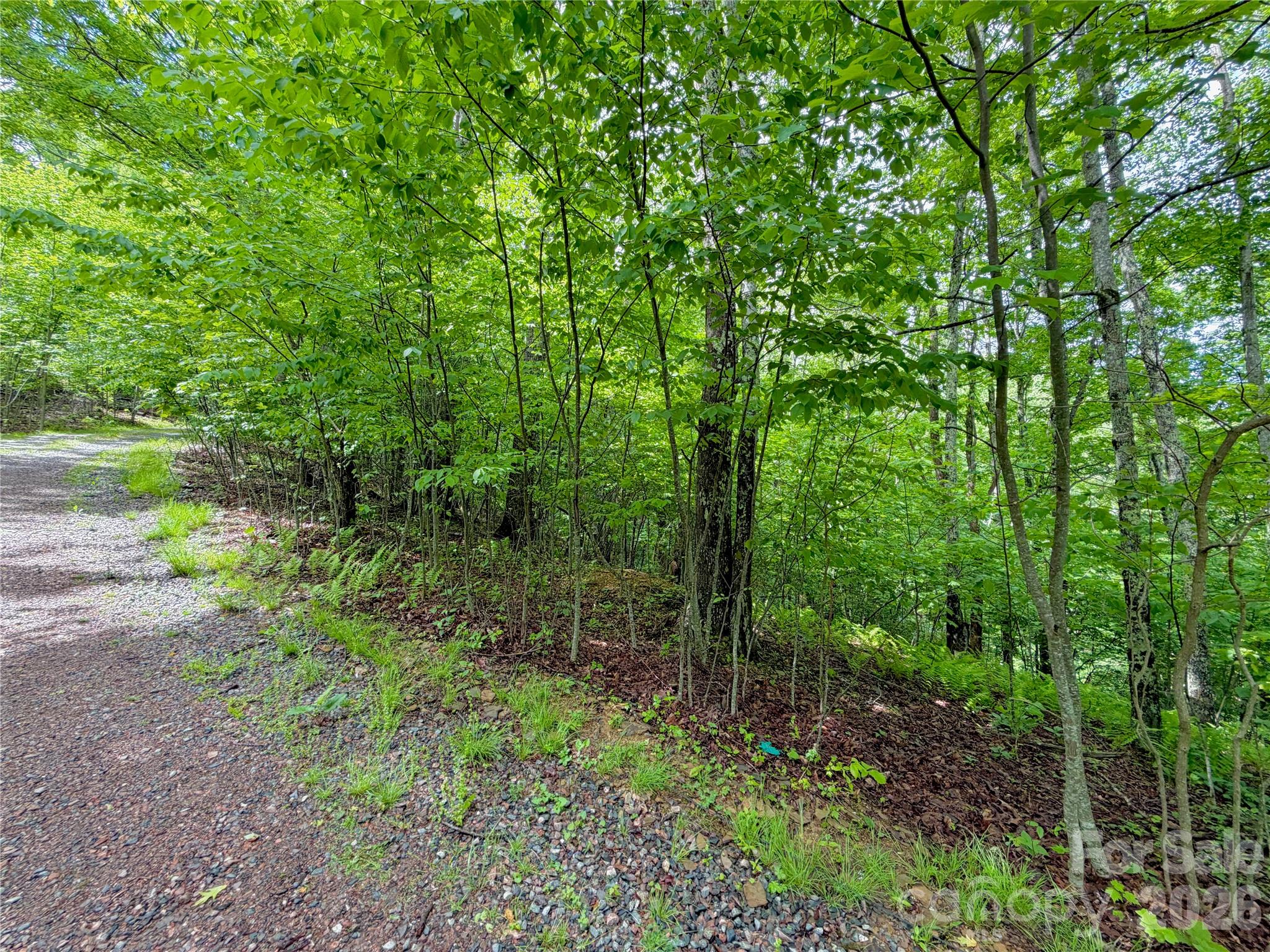 Tbd Grandfather Watch Lane Property Photo 2