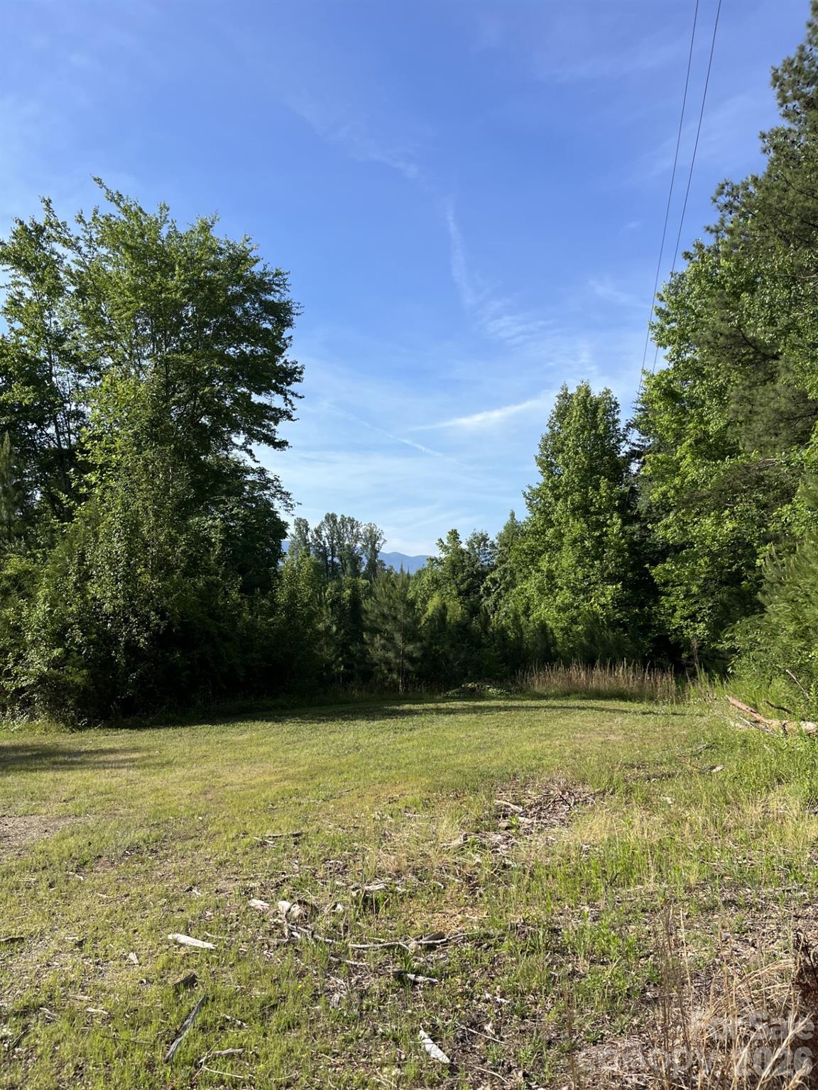 108 & 0 Old Hush Puppy Avenue Property Photo 1