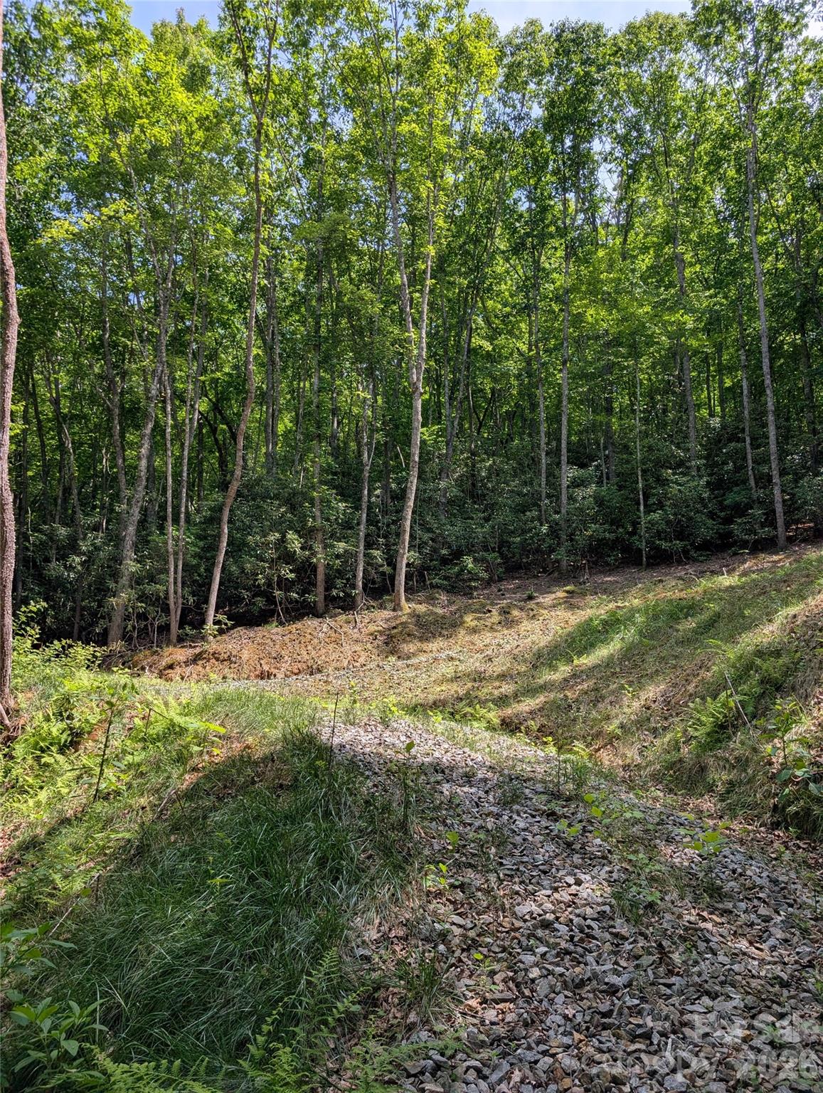 000 Pisgah Highway Property Photo 1