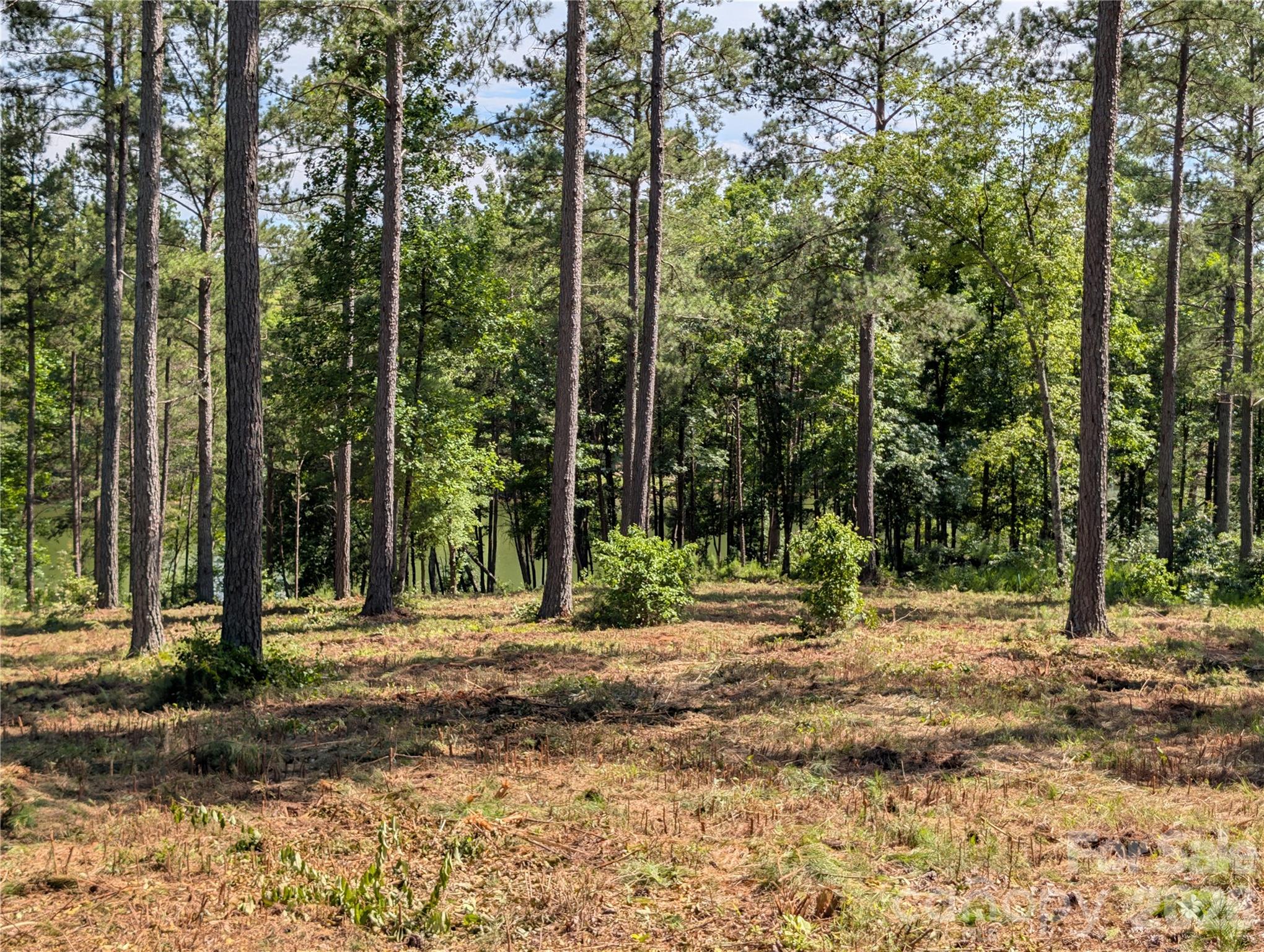 2134 Princeton Mountain Mountain 60 Property Photo 2