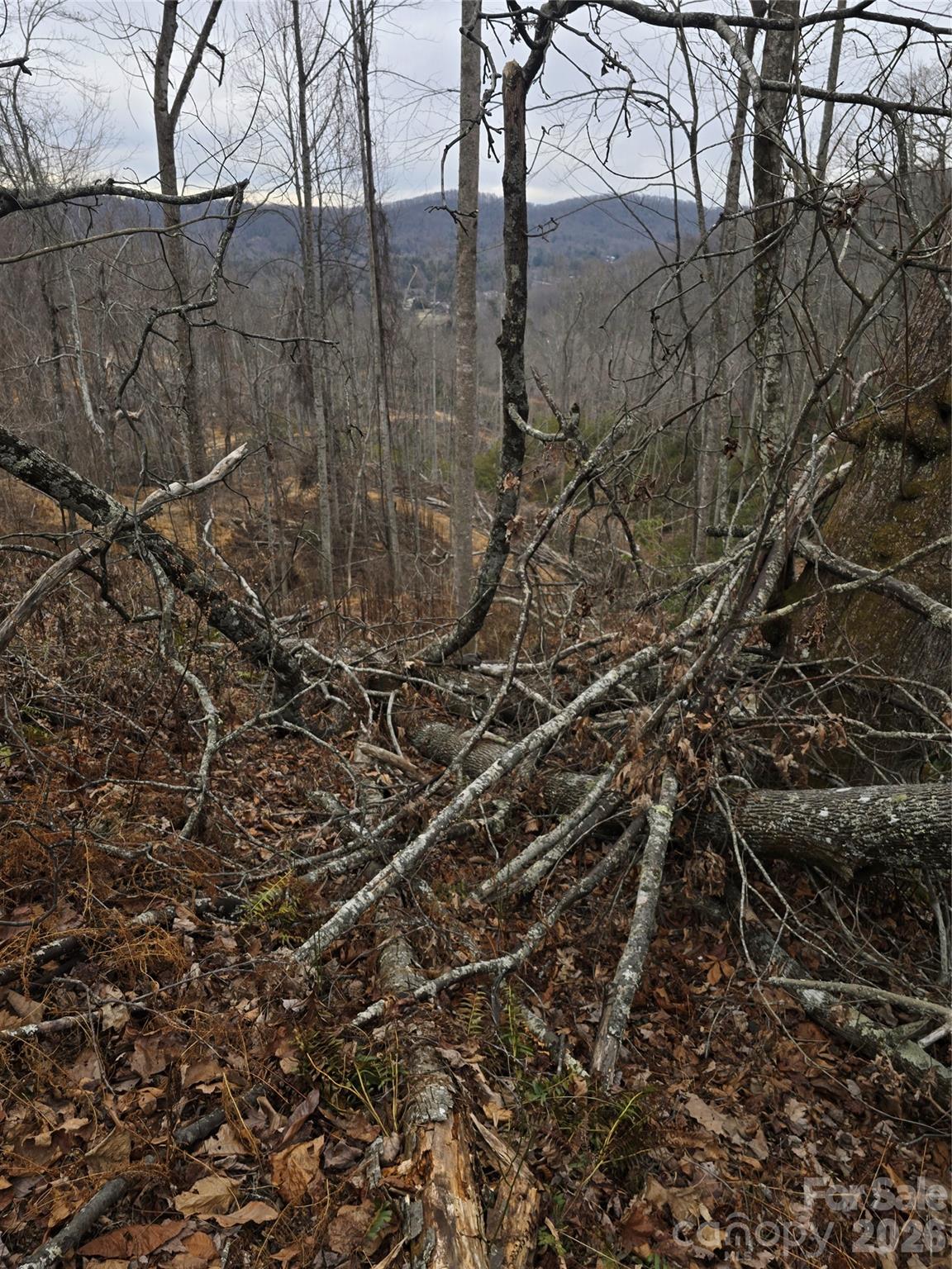 1480 Davis Mountain Road Property Photo 19