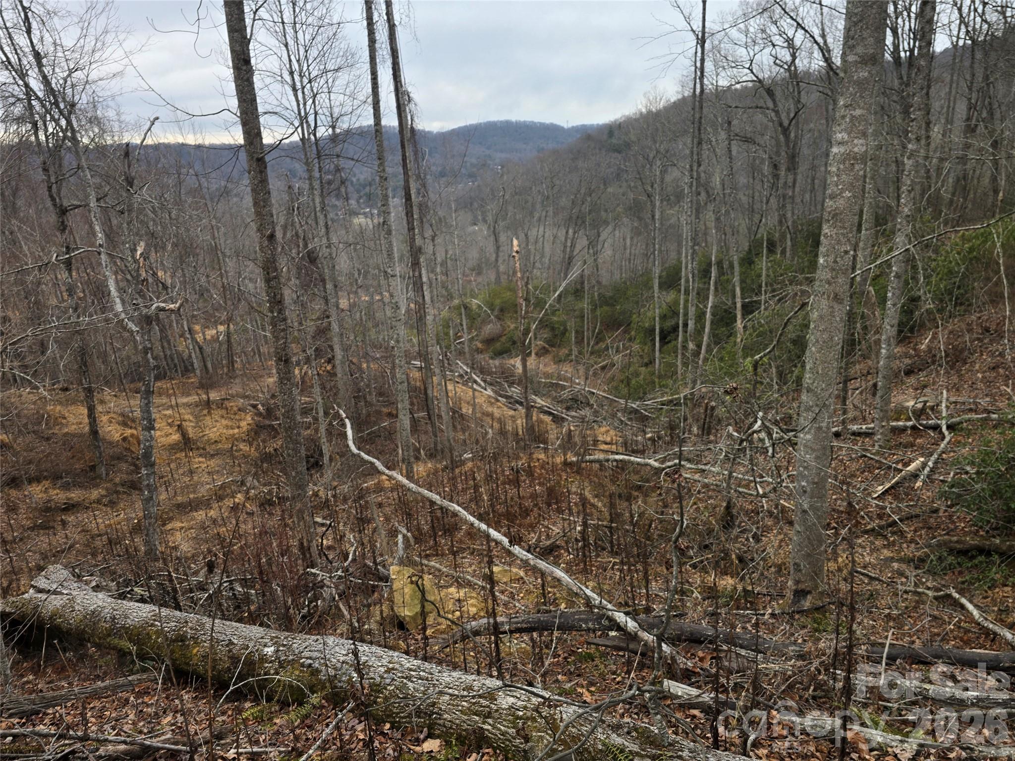 1480 Davis Mountain Road Property Photo 21