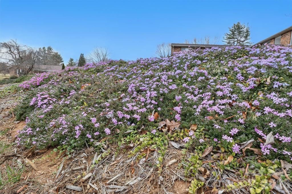 114 Falling Waters Road 2 Property Photo 20