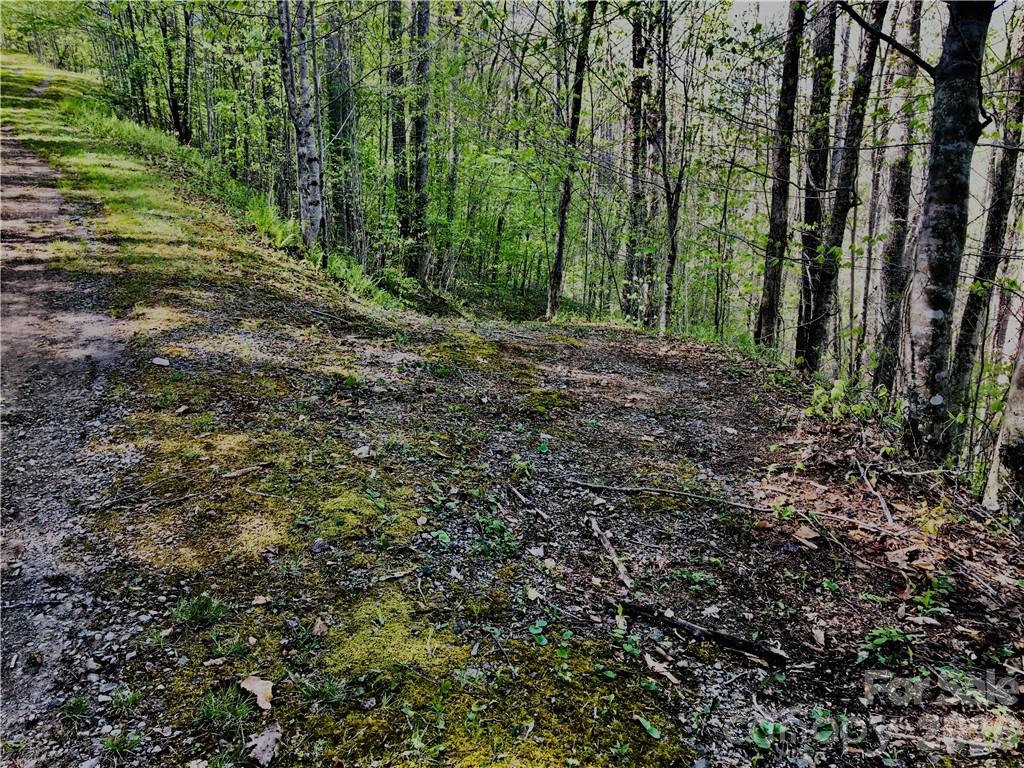 99 Fern Hill Drive Property Photo 2