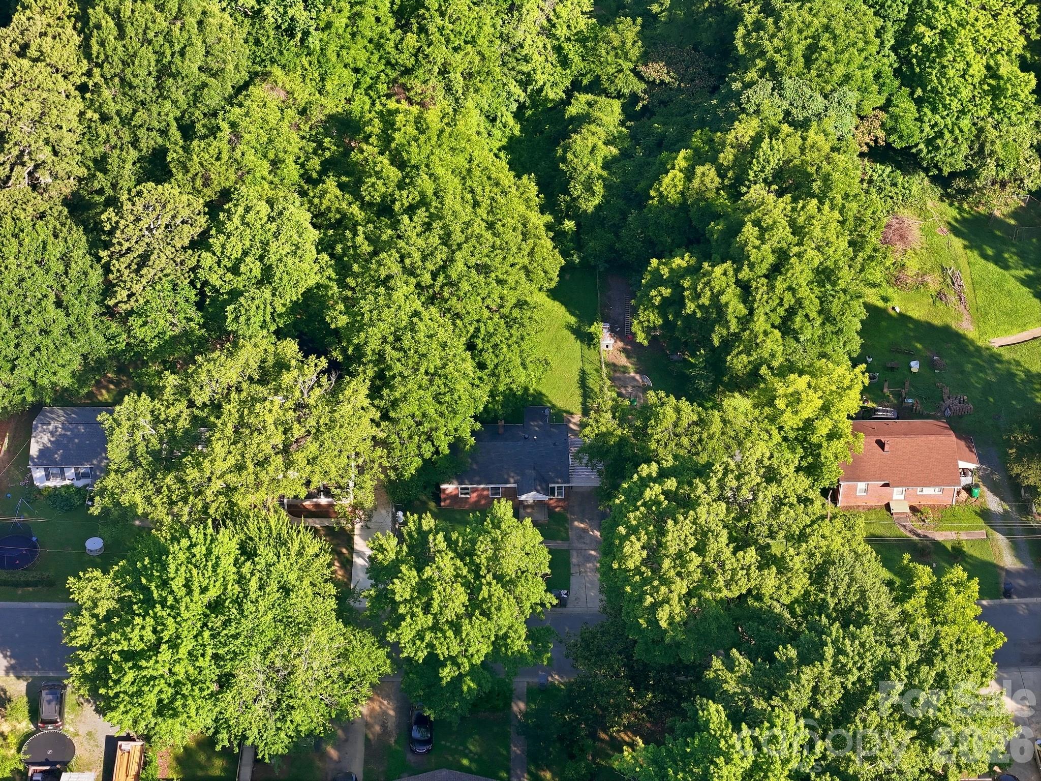 2505 Druid Hills Way Property Photo 14
