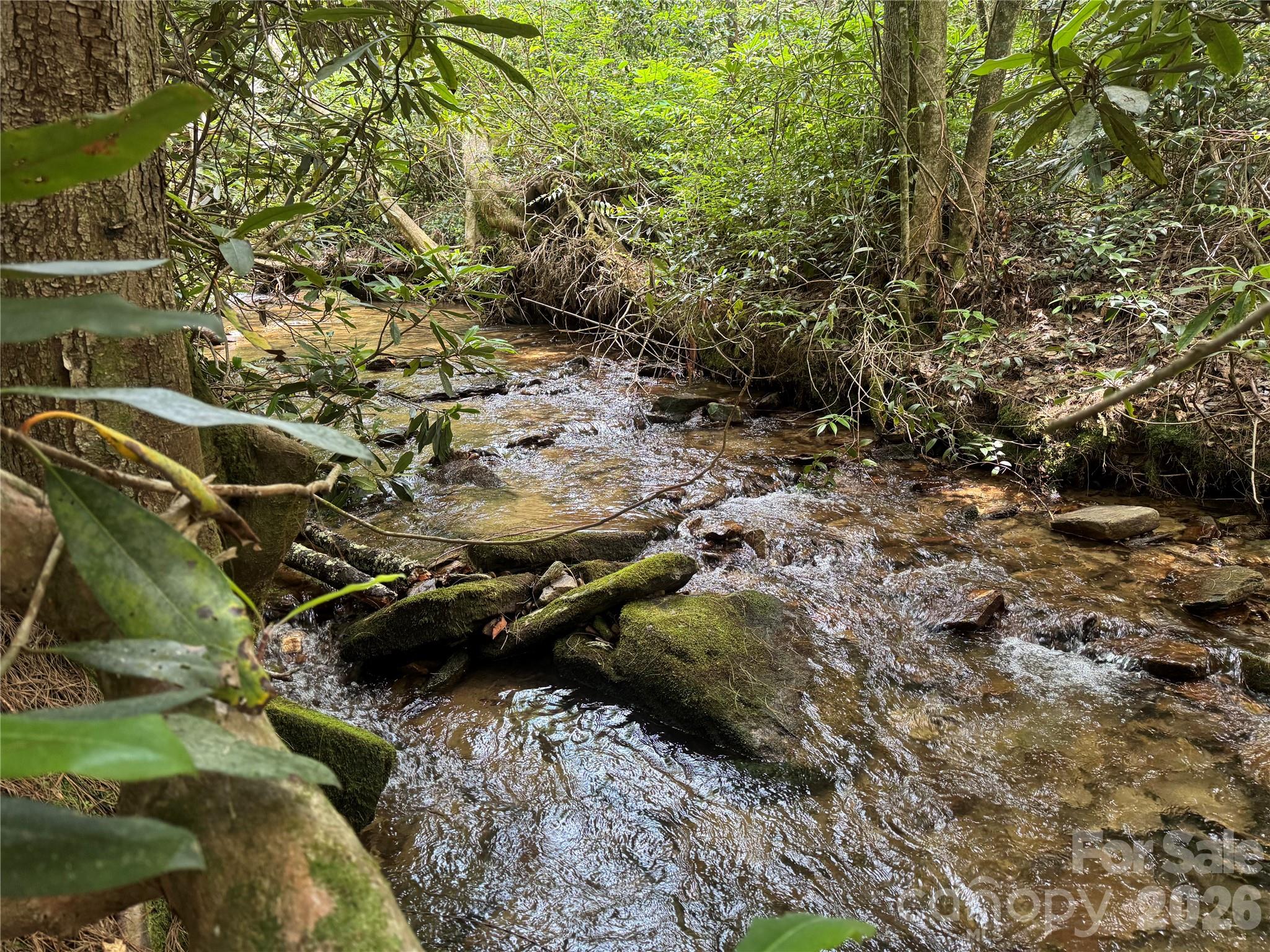 Lot 45 Abby Falls Drive Property Photo 1
